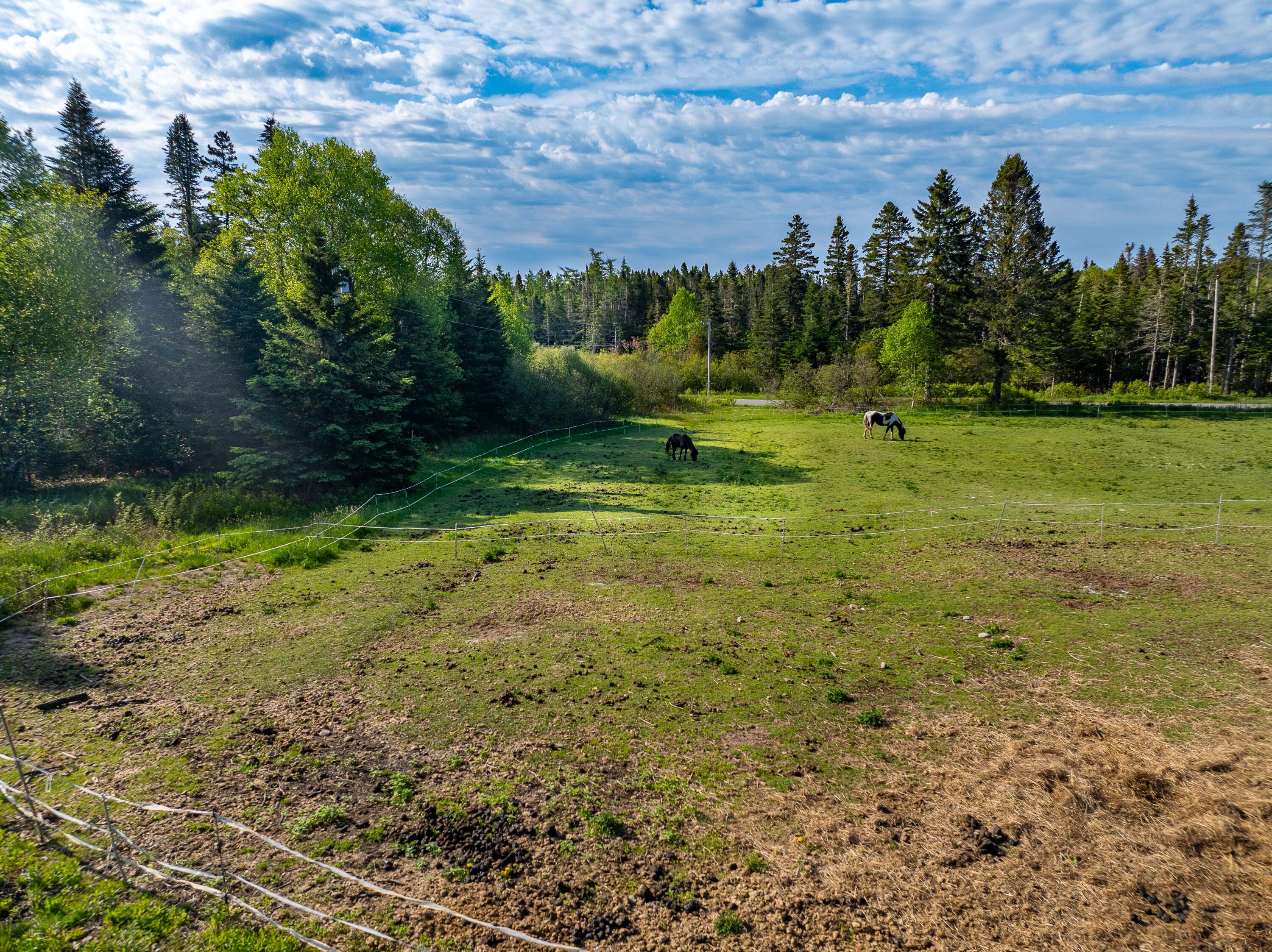 1155 Boot Cove Road Property Photo 14