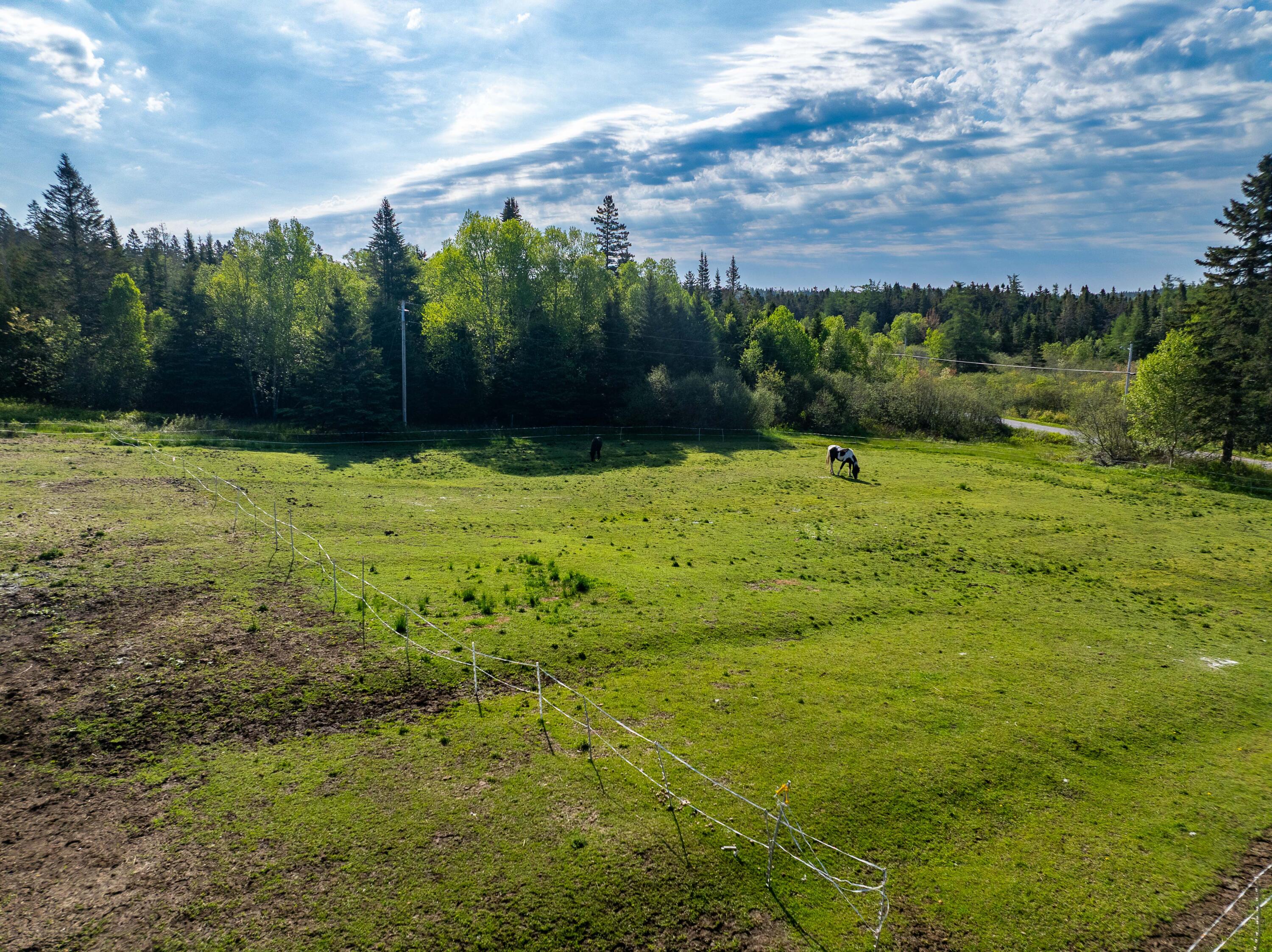 1155 Boot Cove Road Property Photo 16