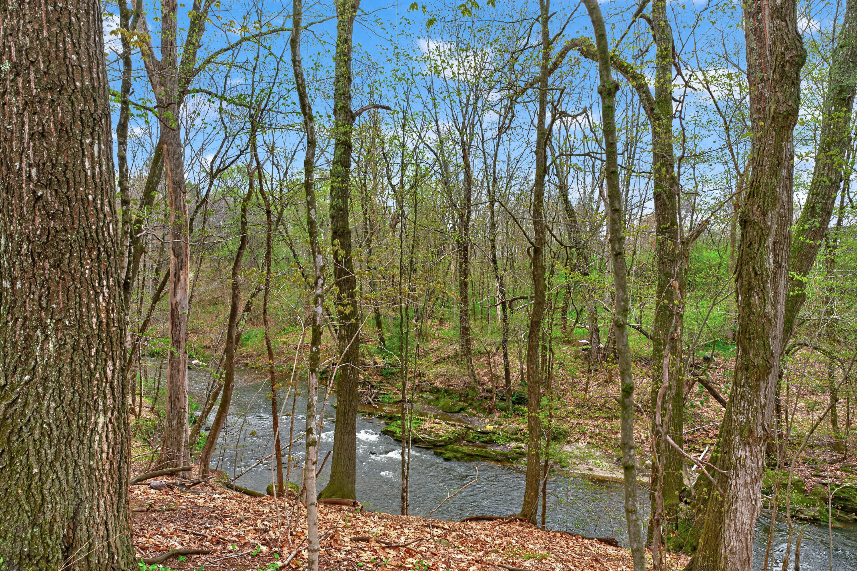 7 River Oaks Way 2 Property Photo 3