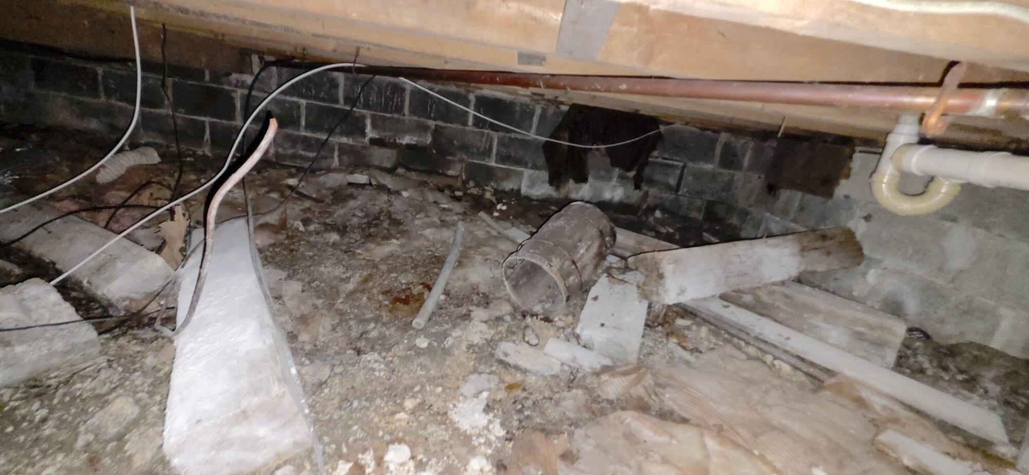 29 Elizabeth Street Property Photo 31