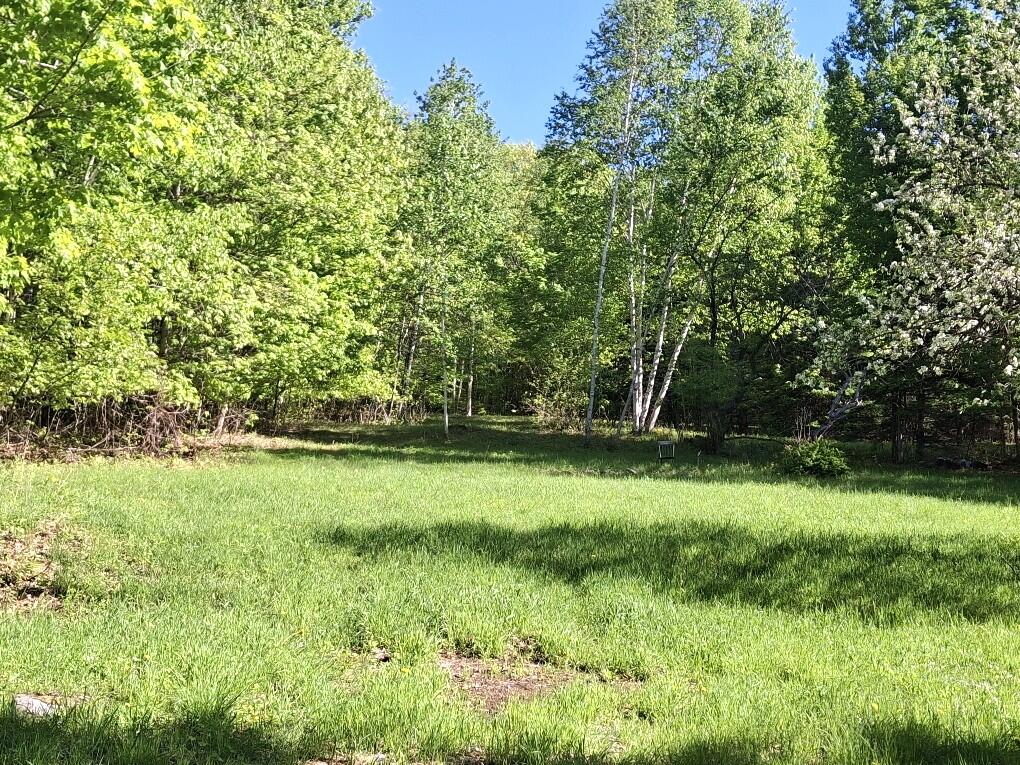 141 Tufts Pond Road Property Photo 5