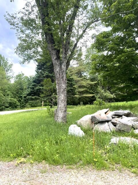141 Tufts Pond Road Property Photo 11