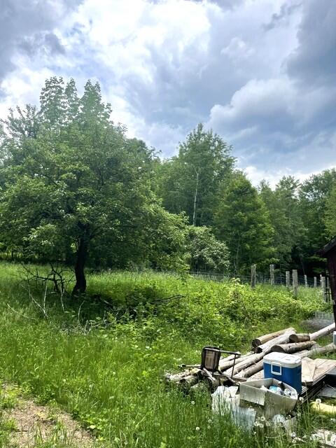 141 Tufts Pond Road Property Photo 13