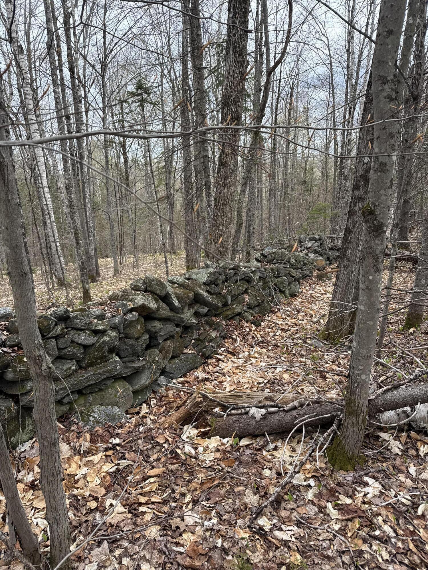 141 Tufts Pond Road Property Photo 33