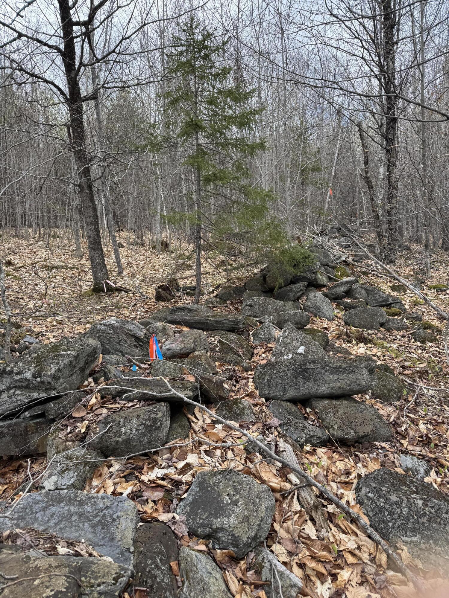 141 Tufts Pond Road Property Photo 34