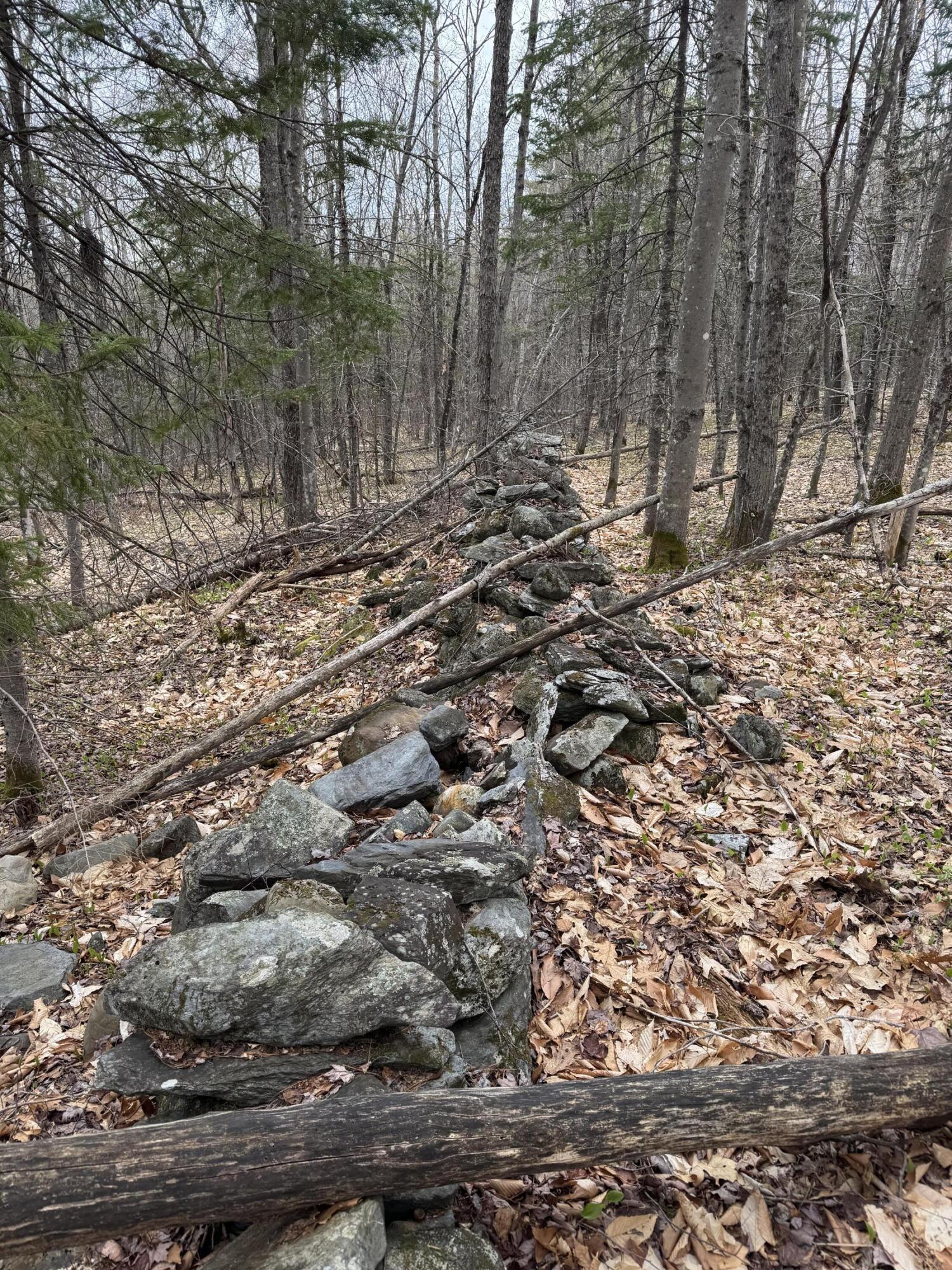 141 Tufts Pond Road Property Photo 35