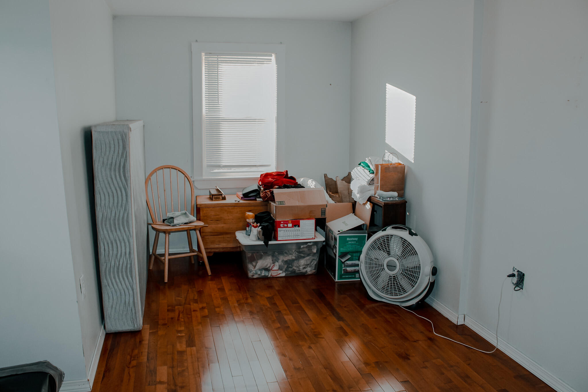 24 Elm Street Property Photo 13