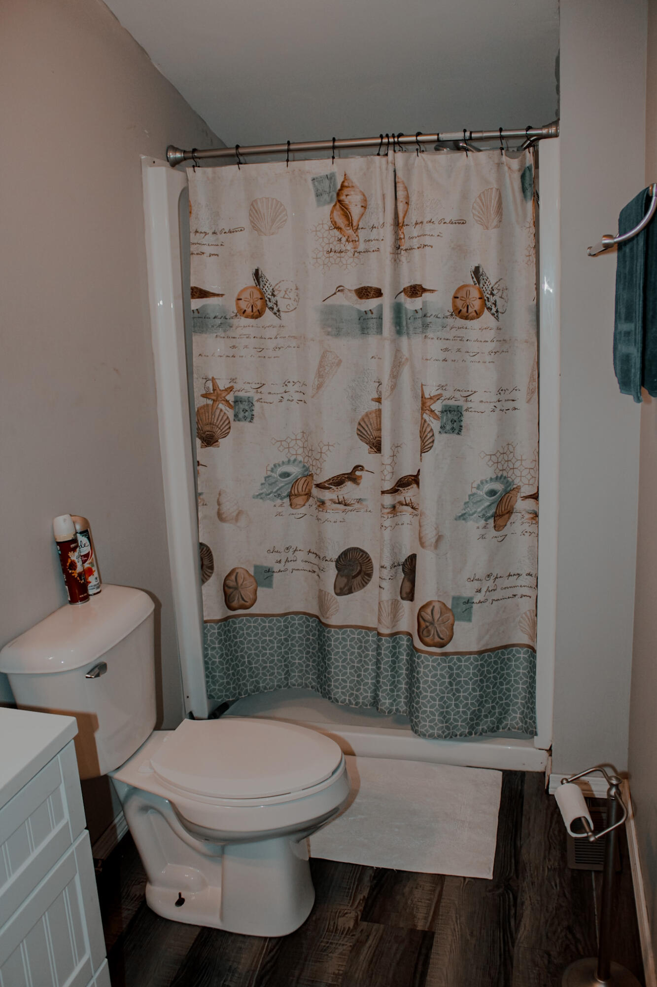24 Elm Street Property Photo 17
