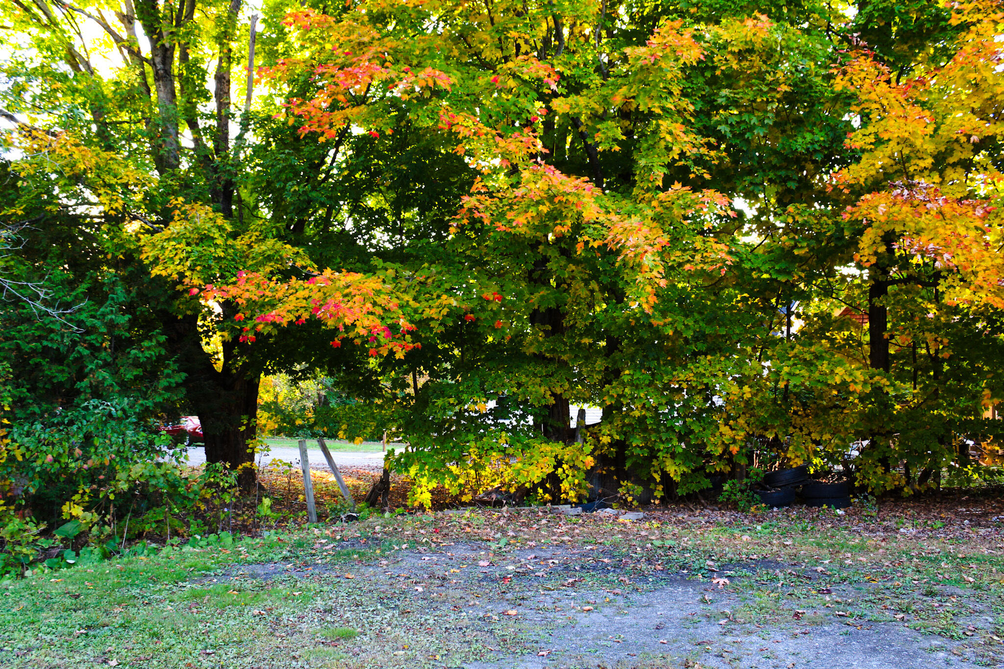 24 Elm Street Property Photo 19