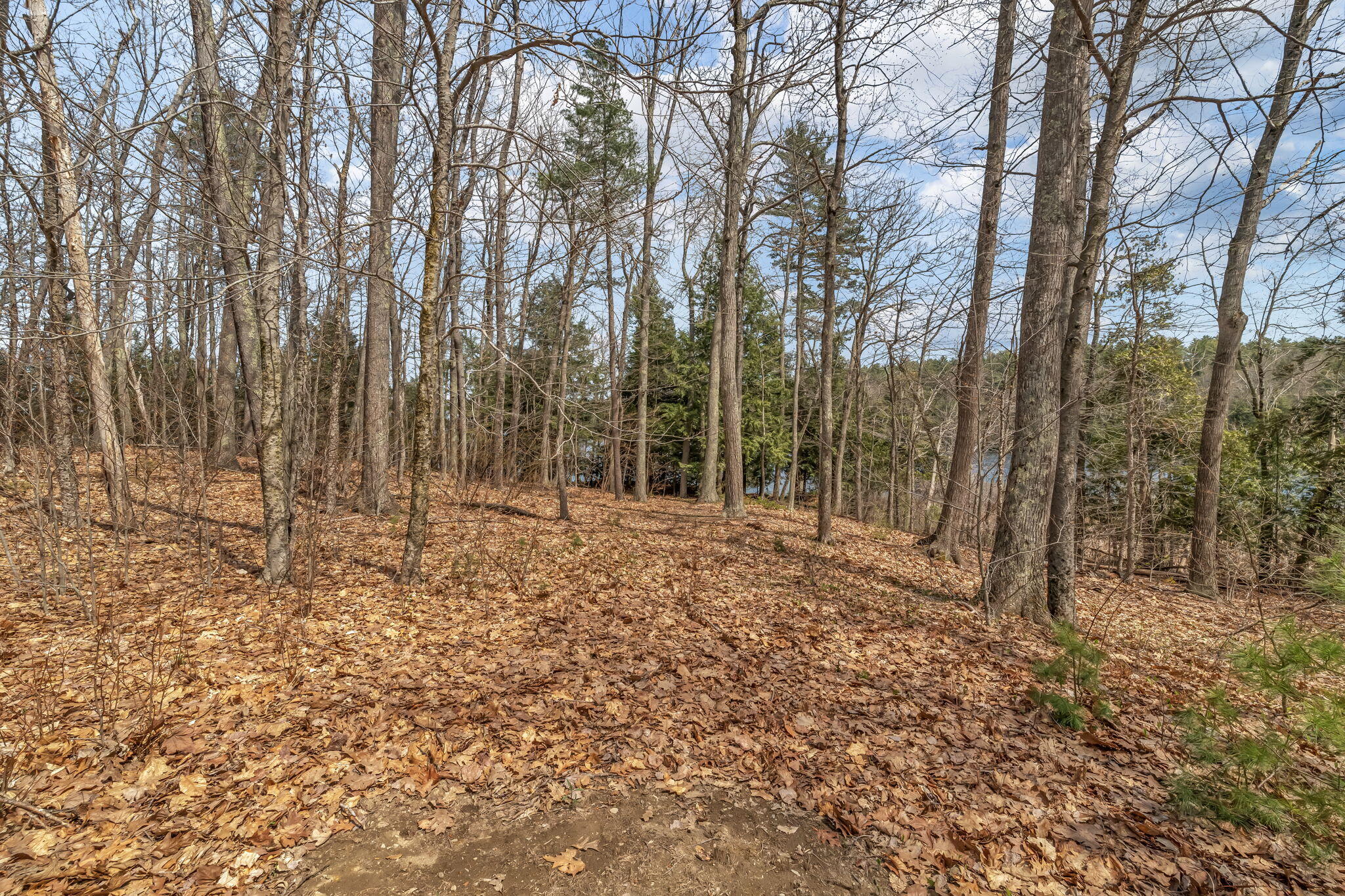 111 Clark Road Property Photo 29