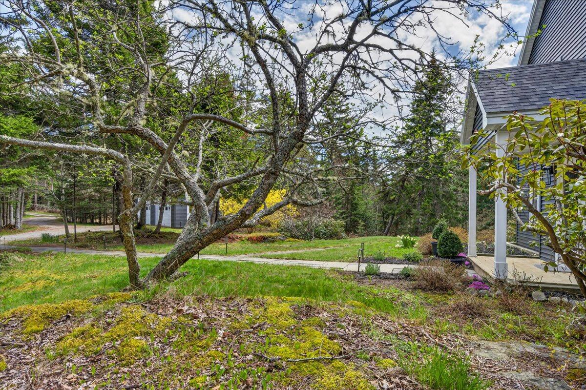 314 Ames Cove Road Property Photo 71