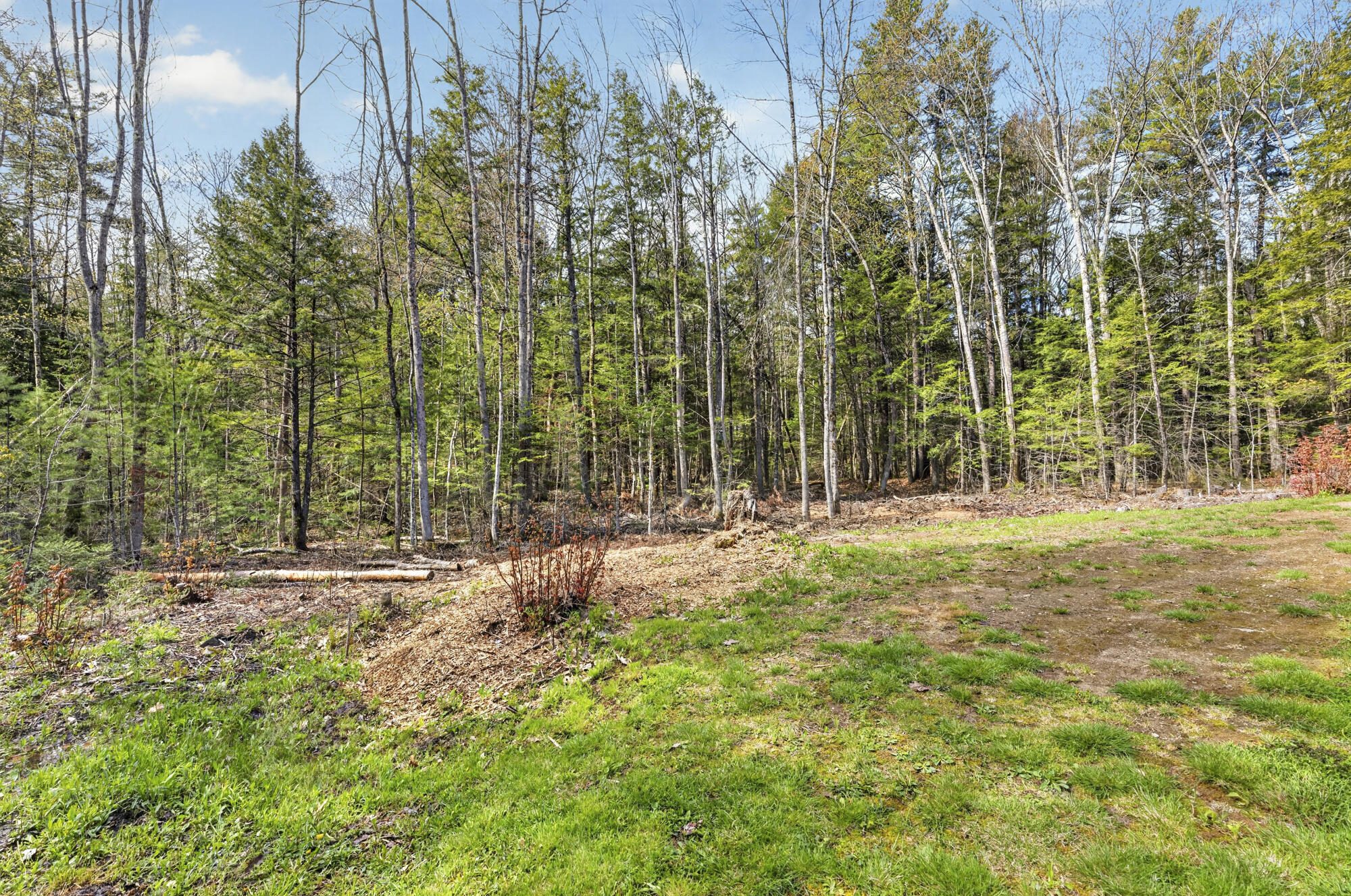 159 Henry Hill Road Property Photo 60