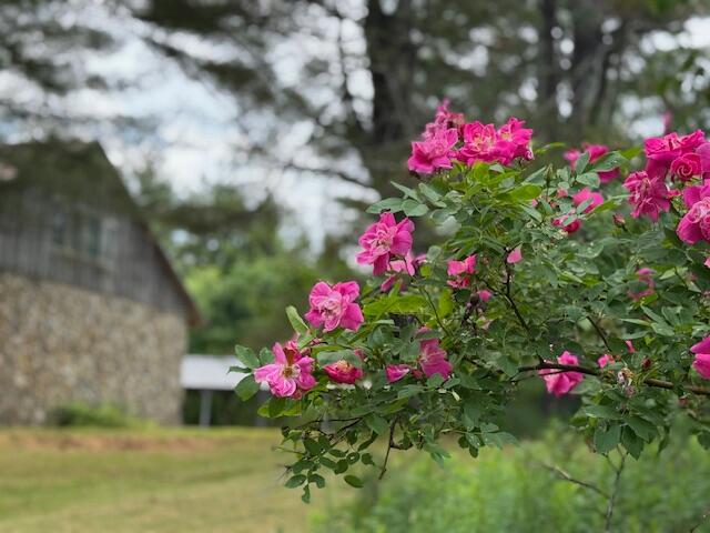 45 Freedom Road Property Photo 70