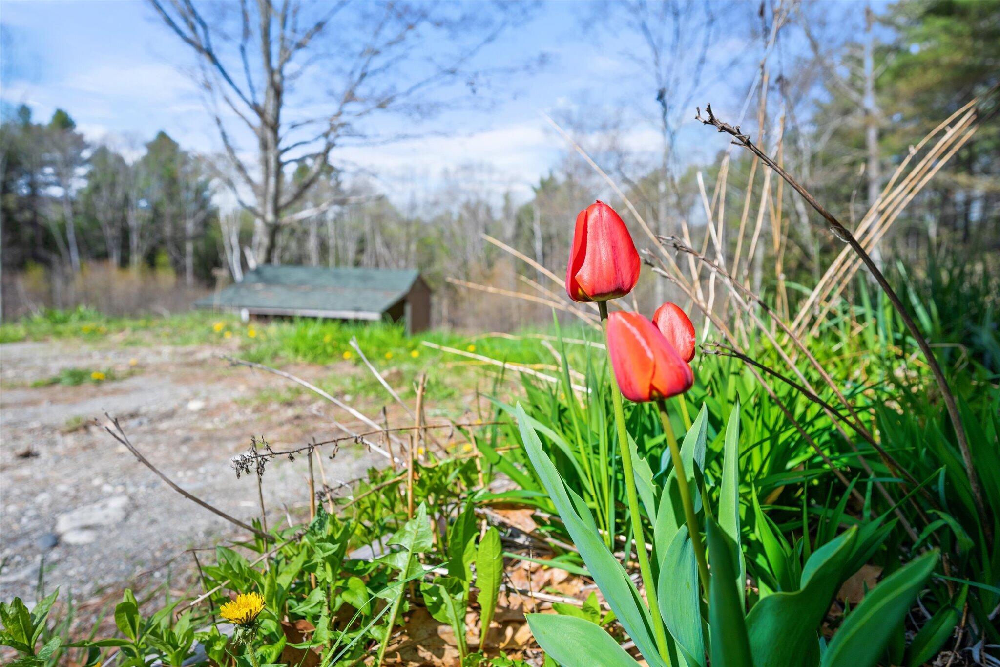 1492 River Road Property Photo 7