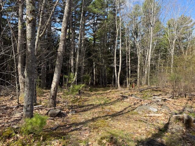 1492 River Road Property Photo 36
