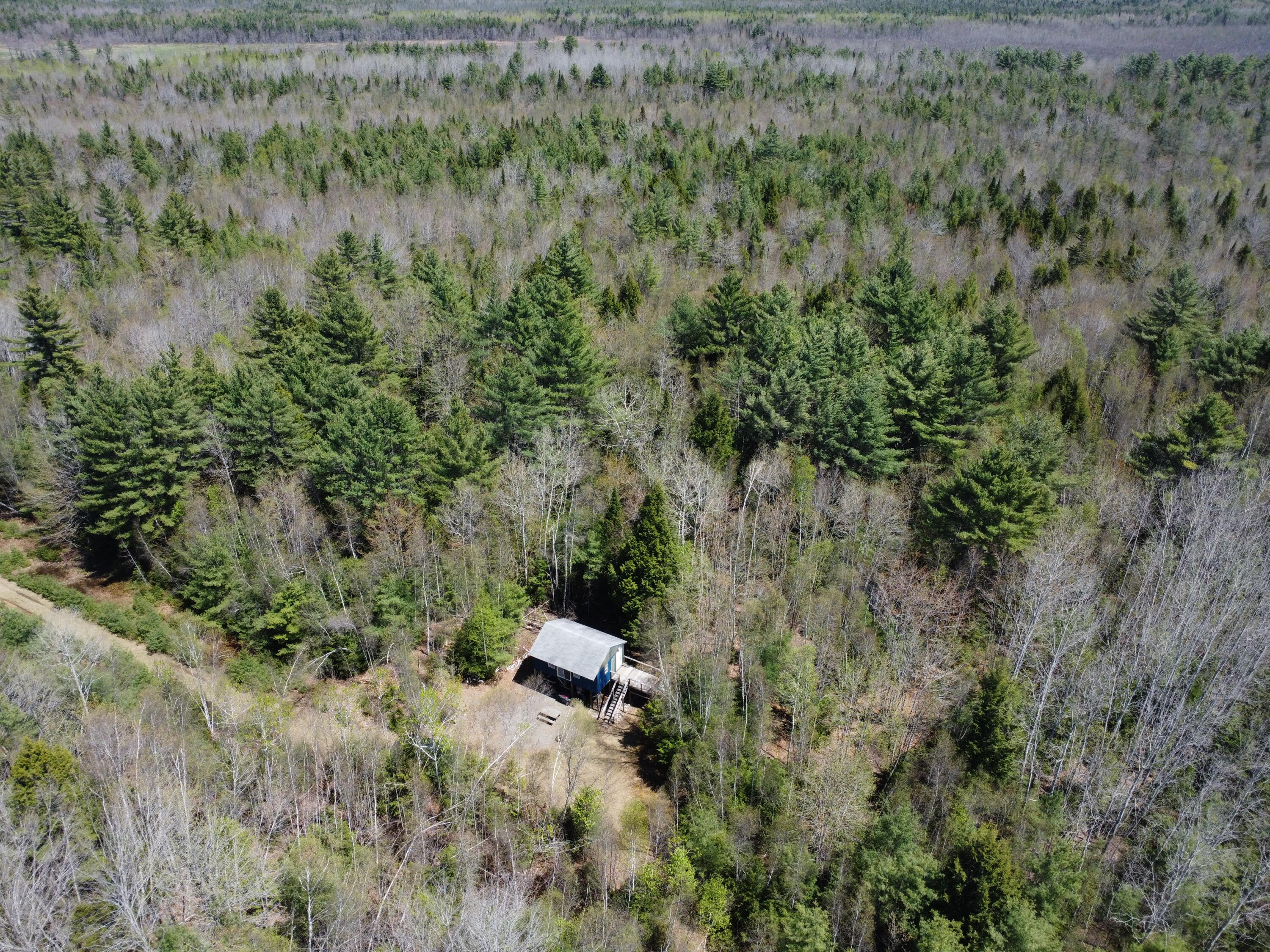 170 Pine Road Property Photo 6