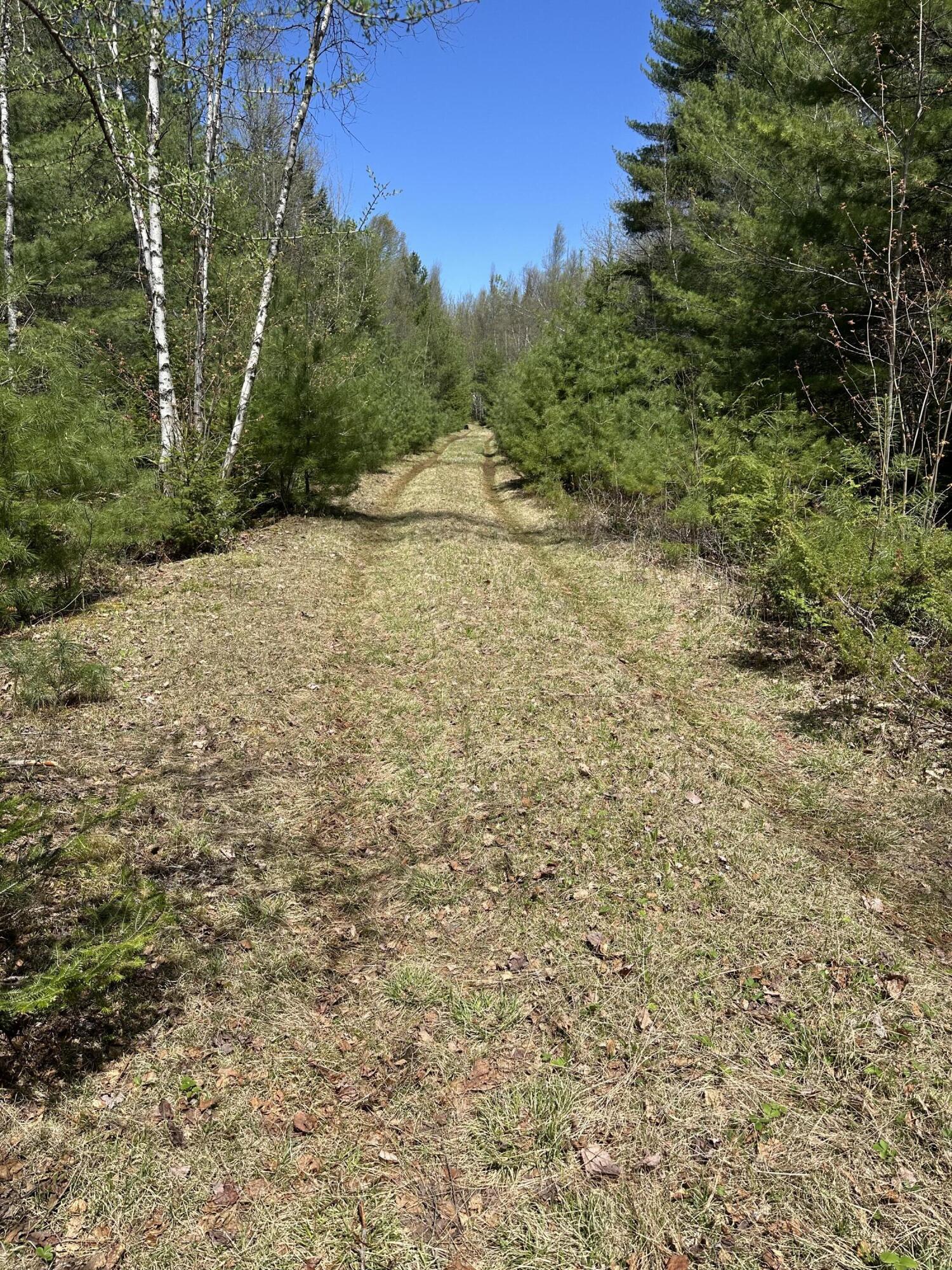 170 Pine Road Property Photo 7