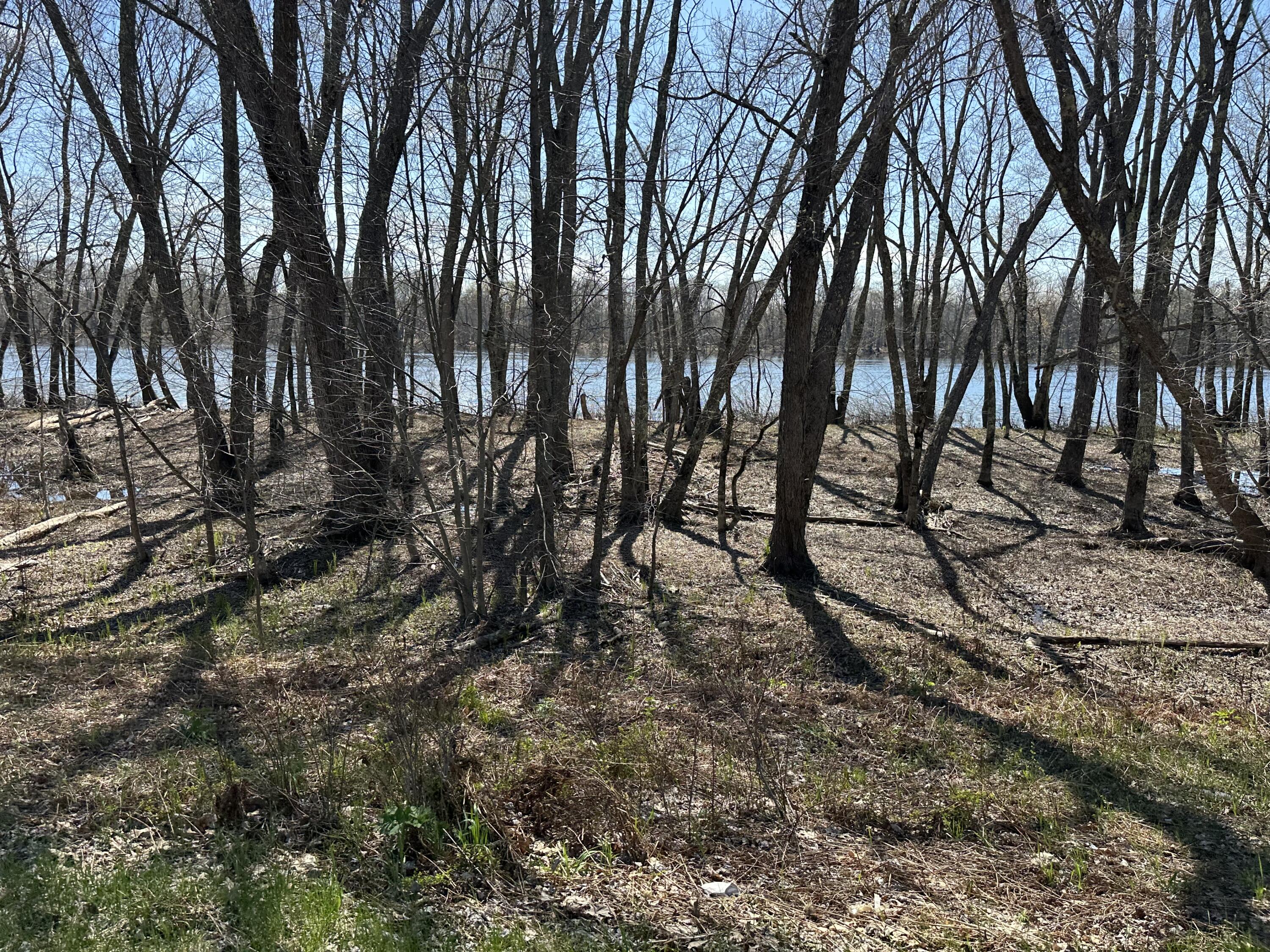 170 Pine Road Property Photo 8
