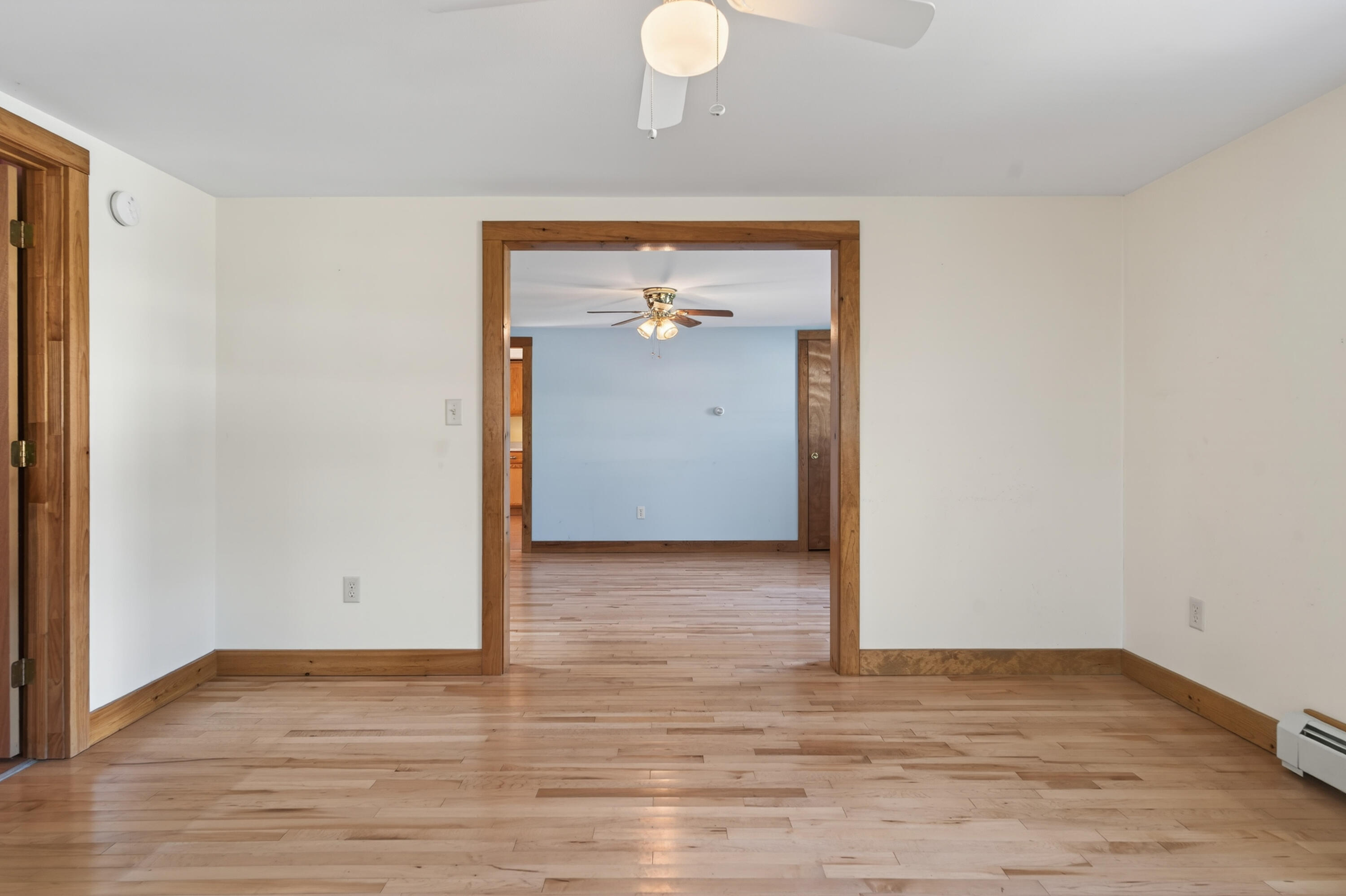 27 Mills Road Rear Property Photo 15
