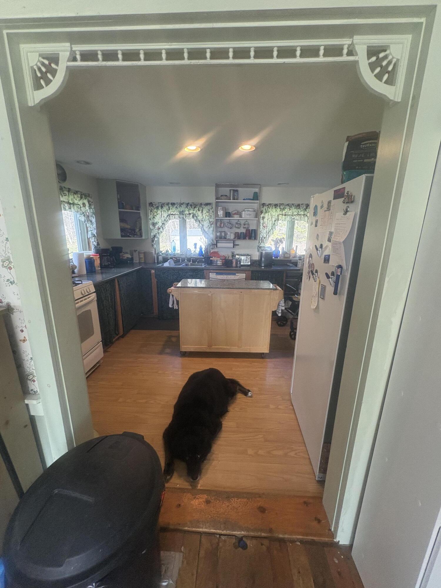 910 Hostile Valley Road Property Photo 17