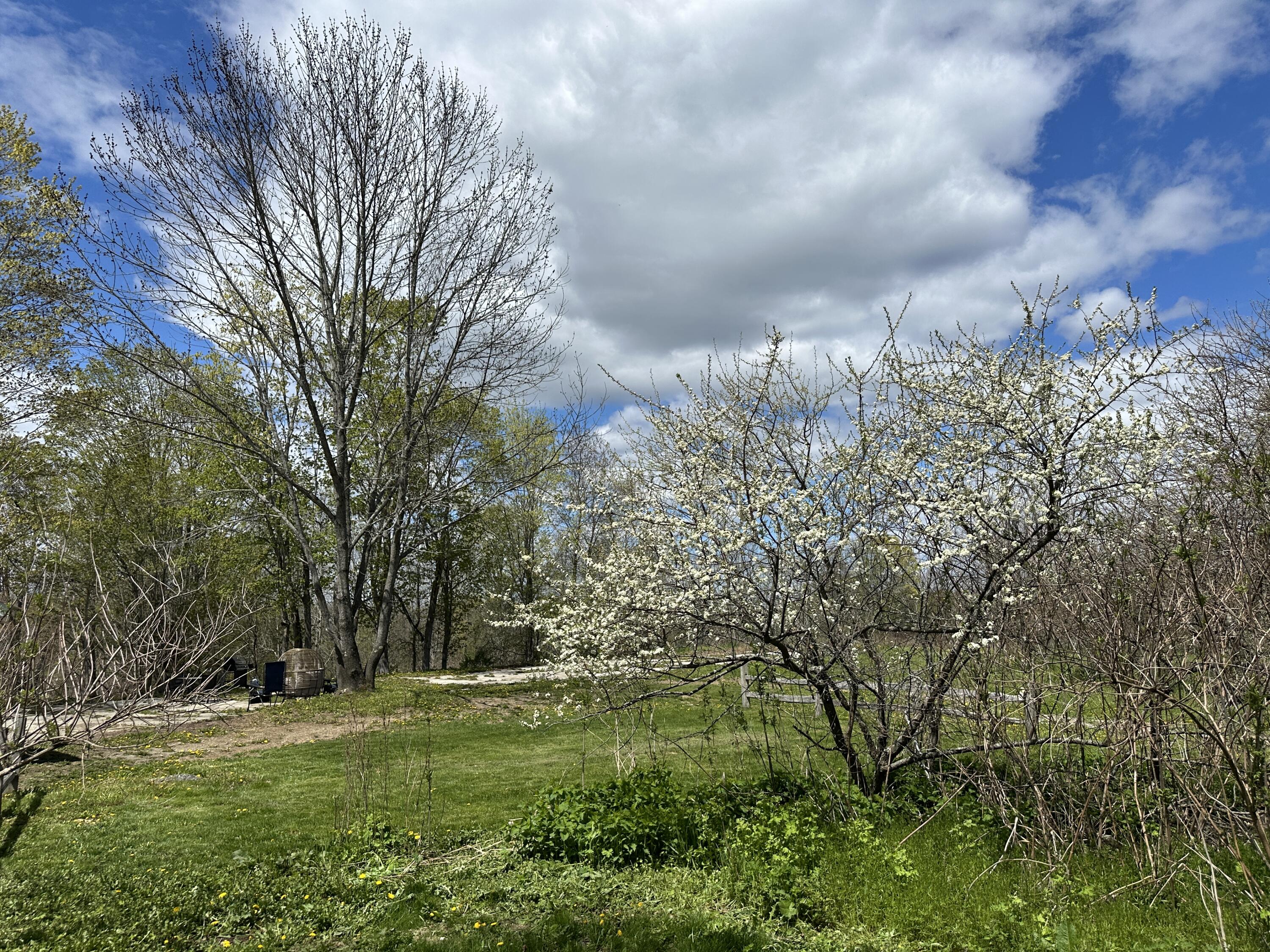 104 Unity Road Property Photo 33