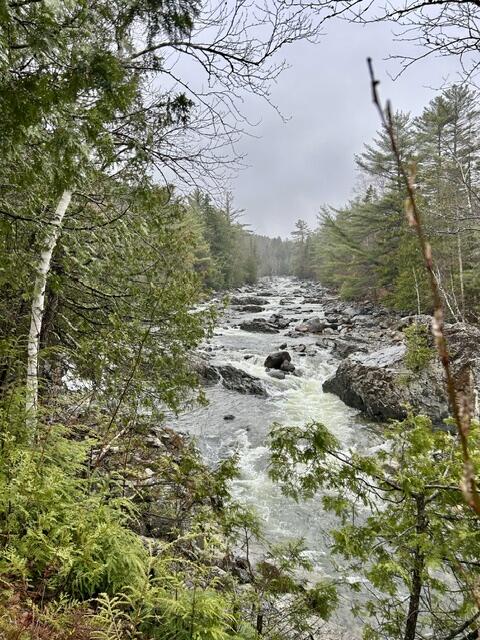 1264 Carrabassett Drive Property Photo 4