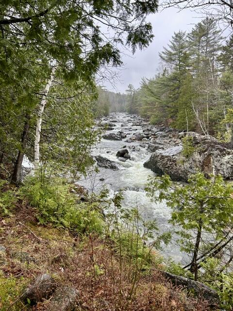 1264 Carrabassett Drive Property Photo 5