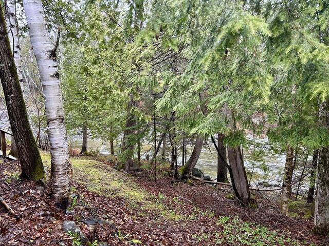 1264 Carrabassett Drive Property Photo 6