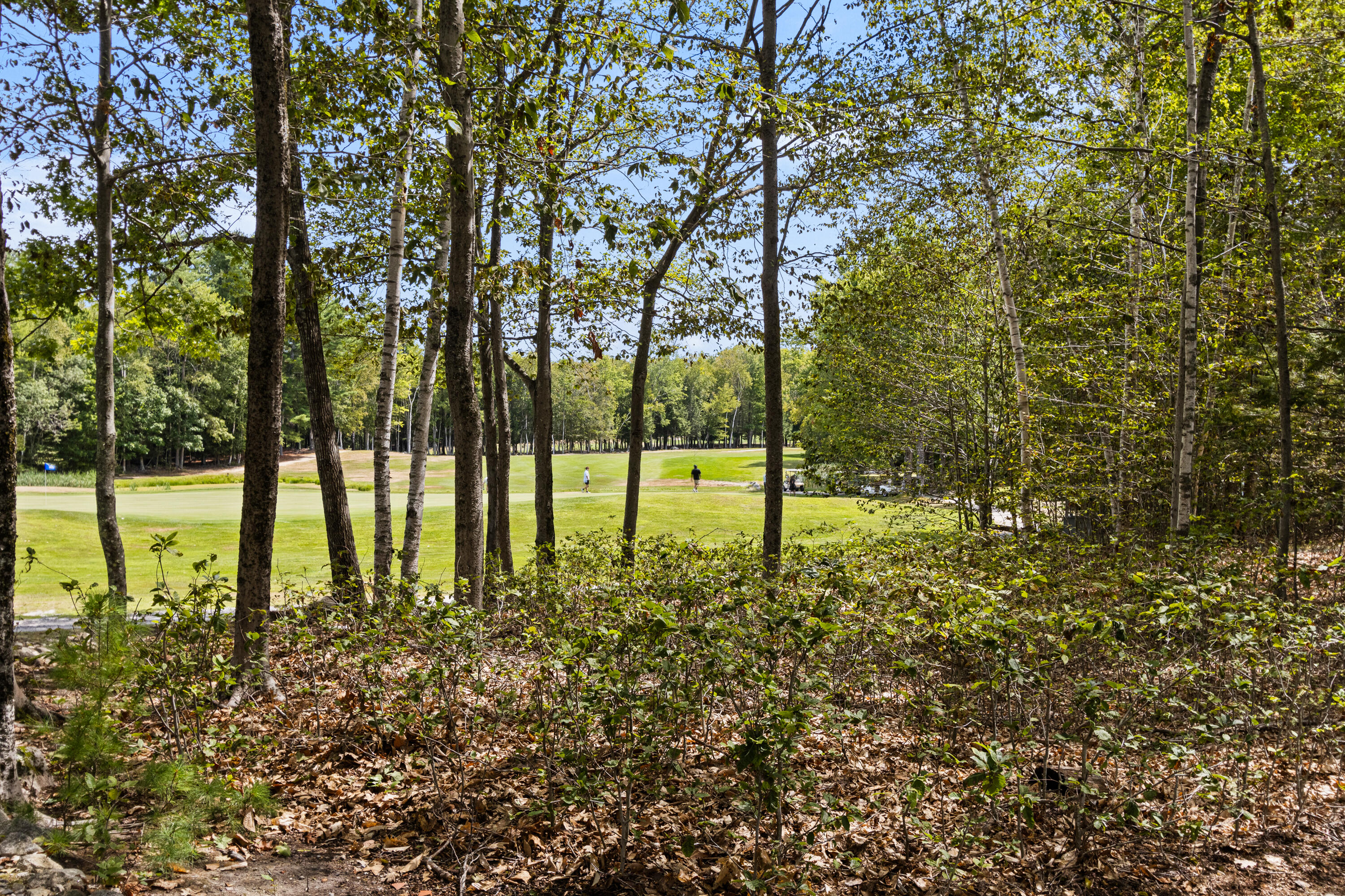 170 High Point Drive Property Photo 42