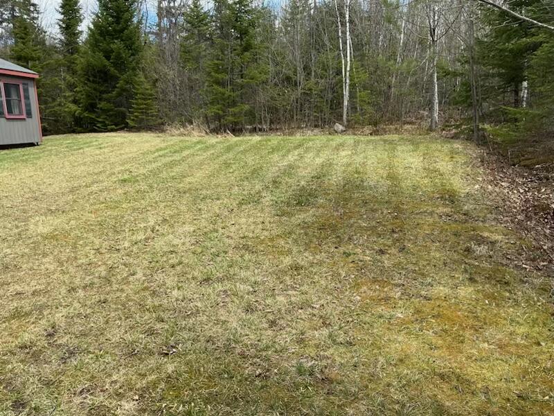 455 Mayfield Road Property Photo 6