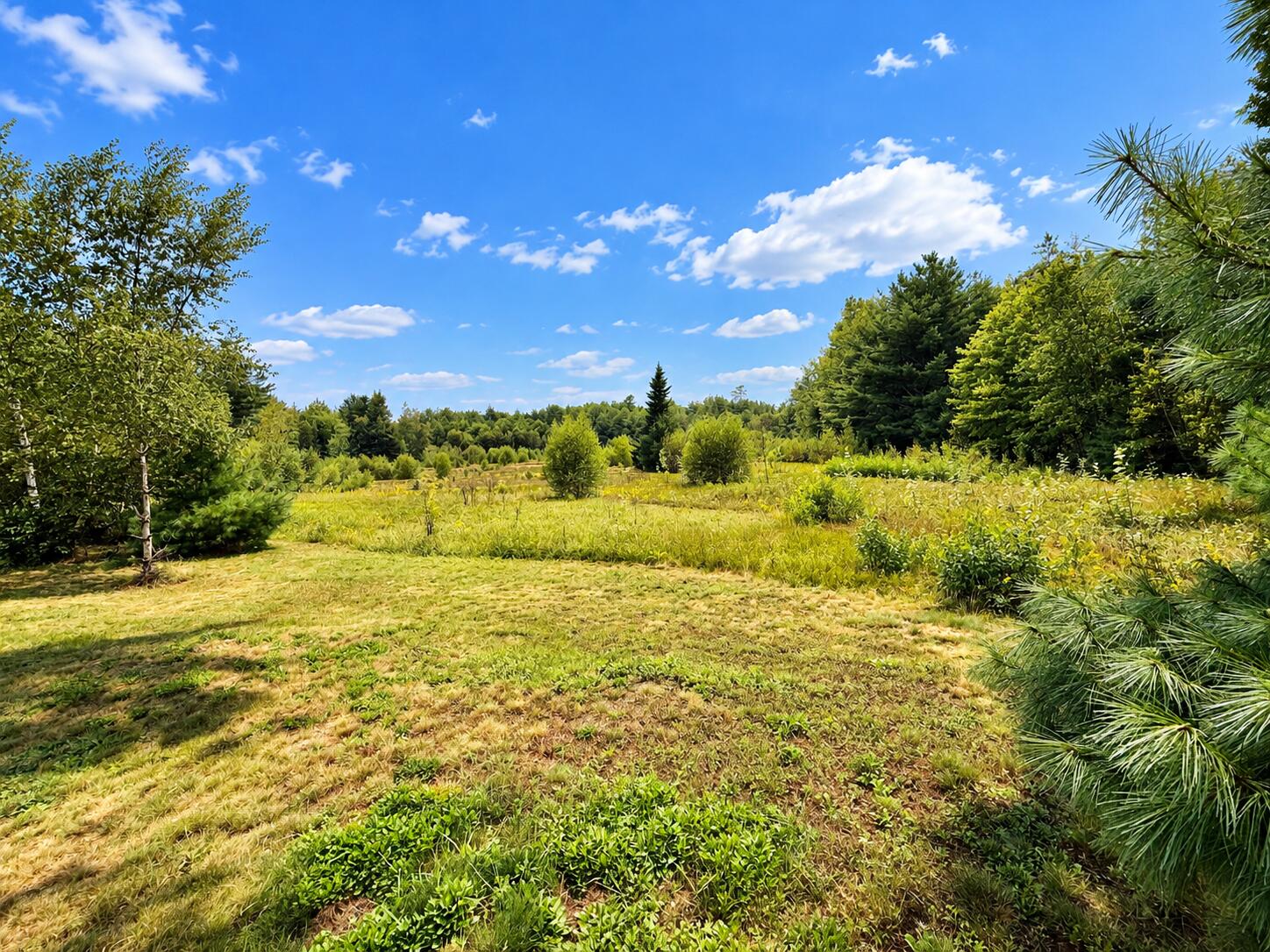 128 Mitten Mountain Road Property Photo 3