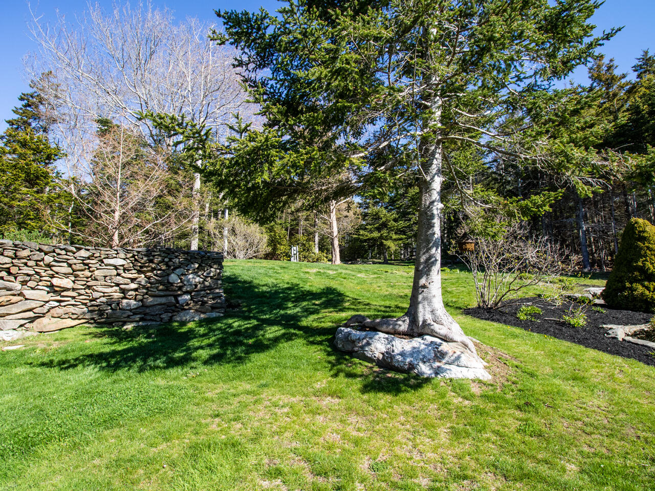 28 Yellow Head Road Property Photo 10