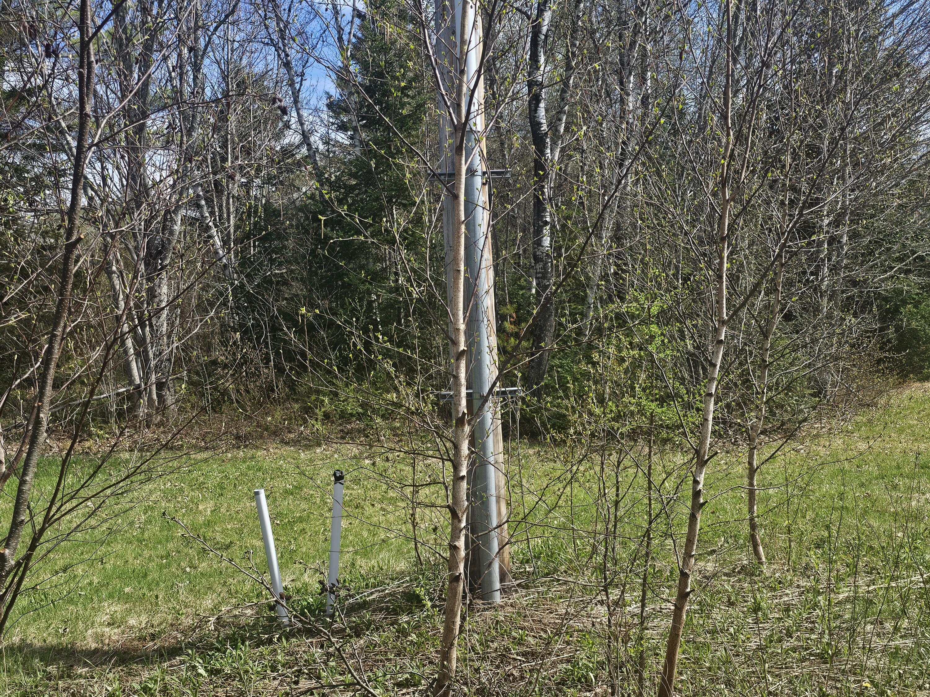 631 Crystal Road Property Photo 16