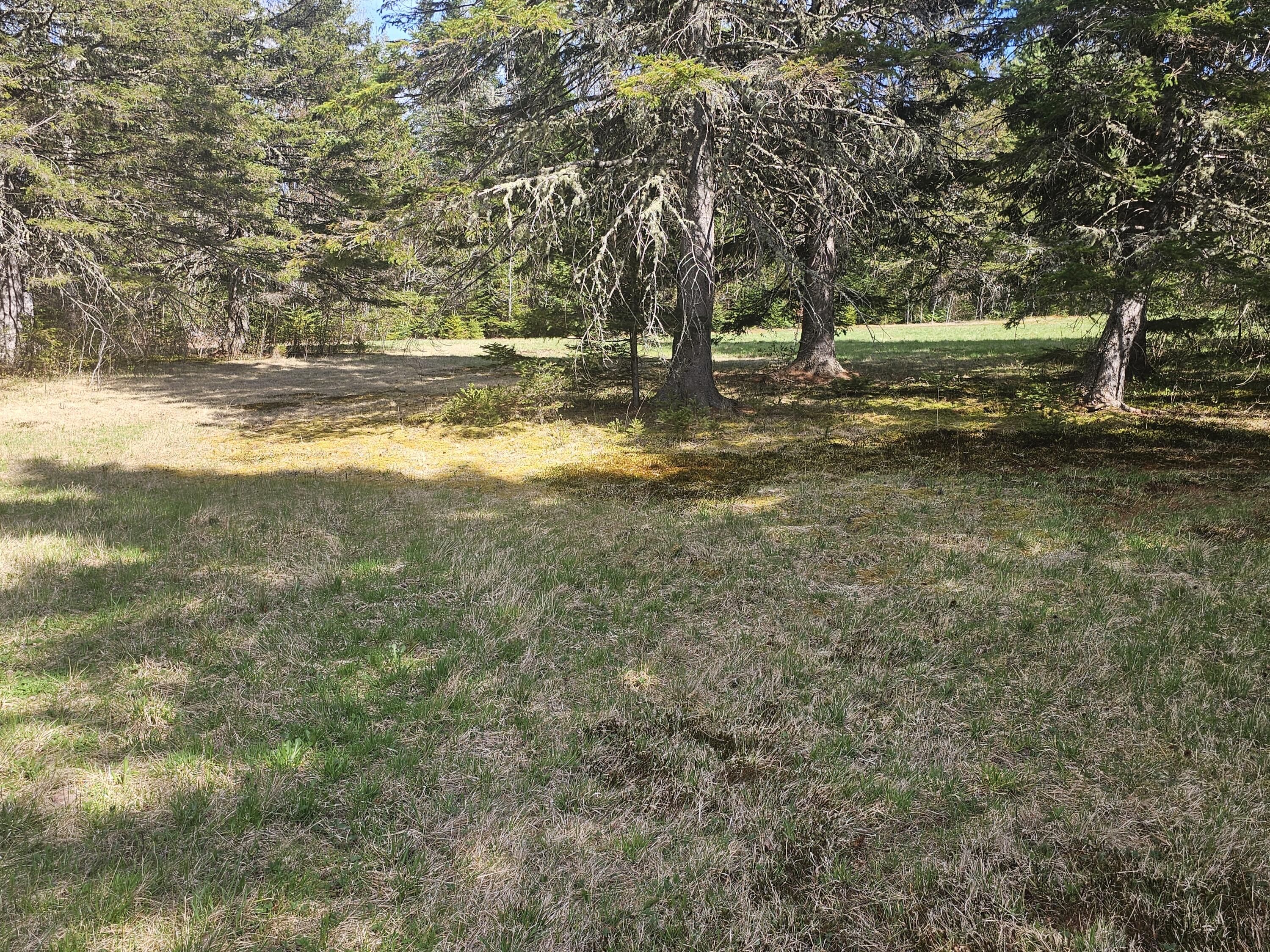 631 Crystal Road Property Photo 27