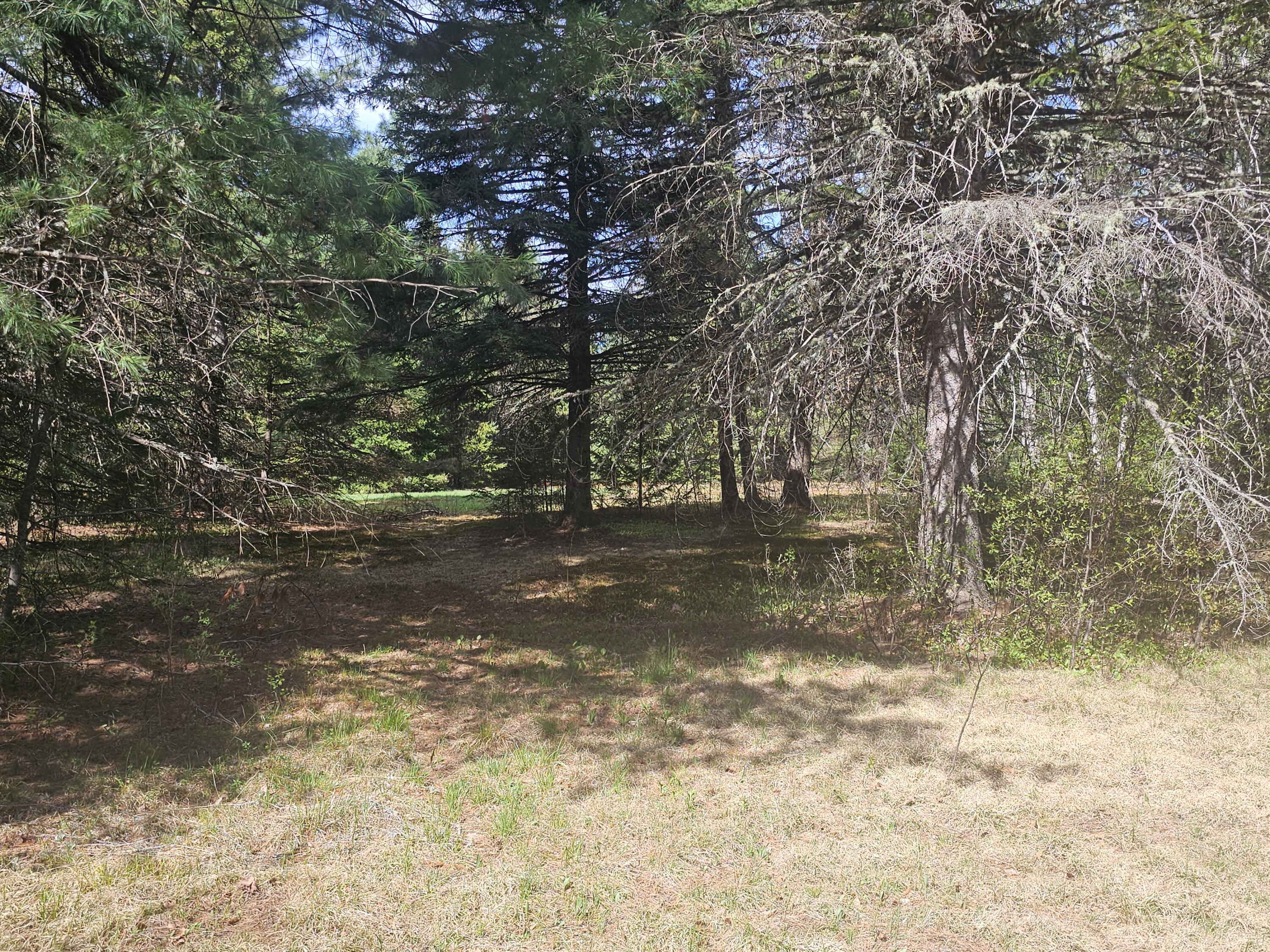 631 Crystal Road Property Photo 28