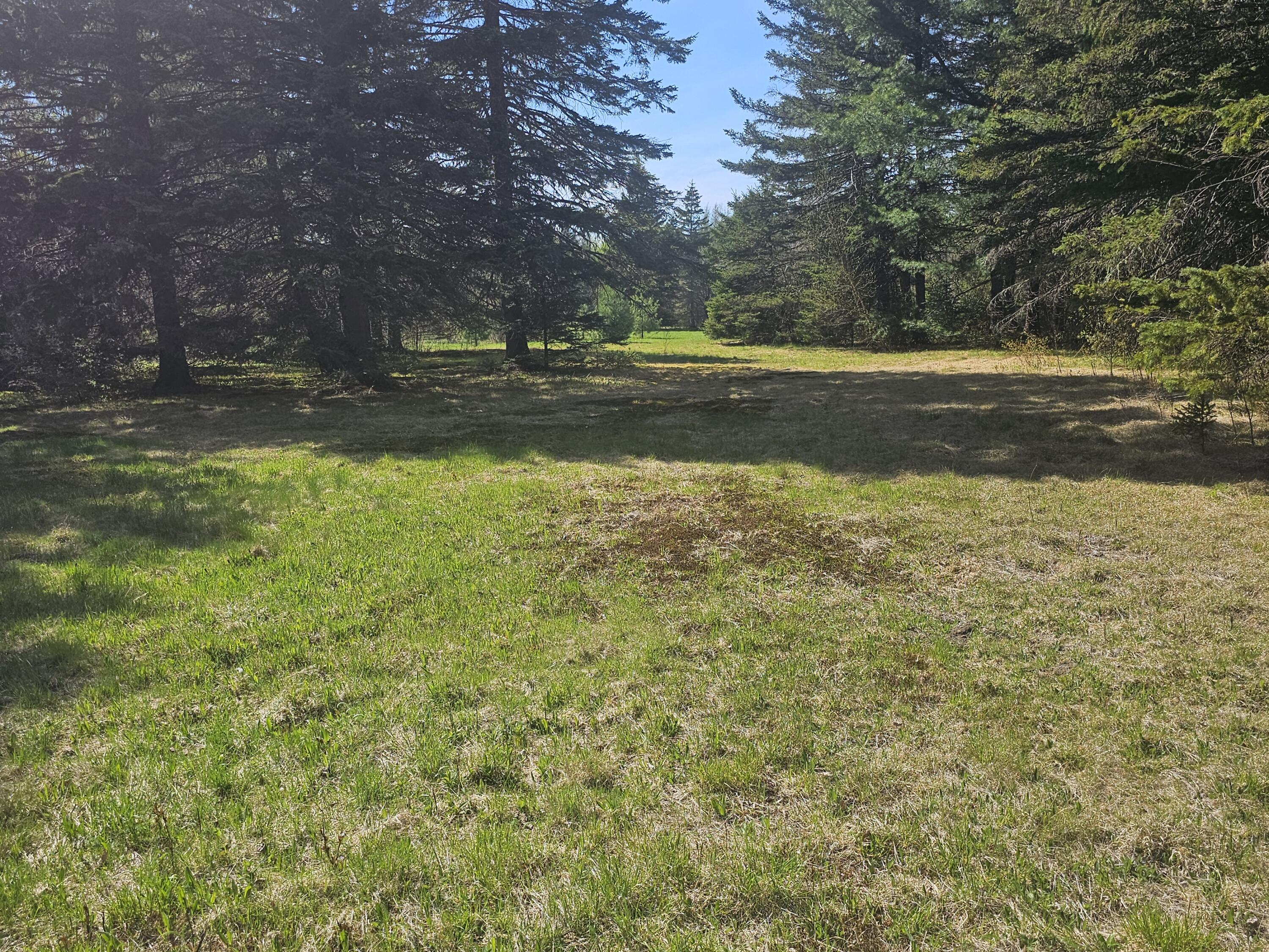 631 Crystal Road Property Photo 31