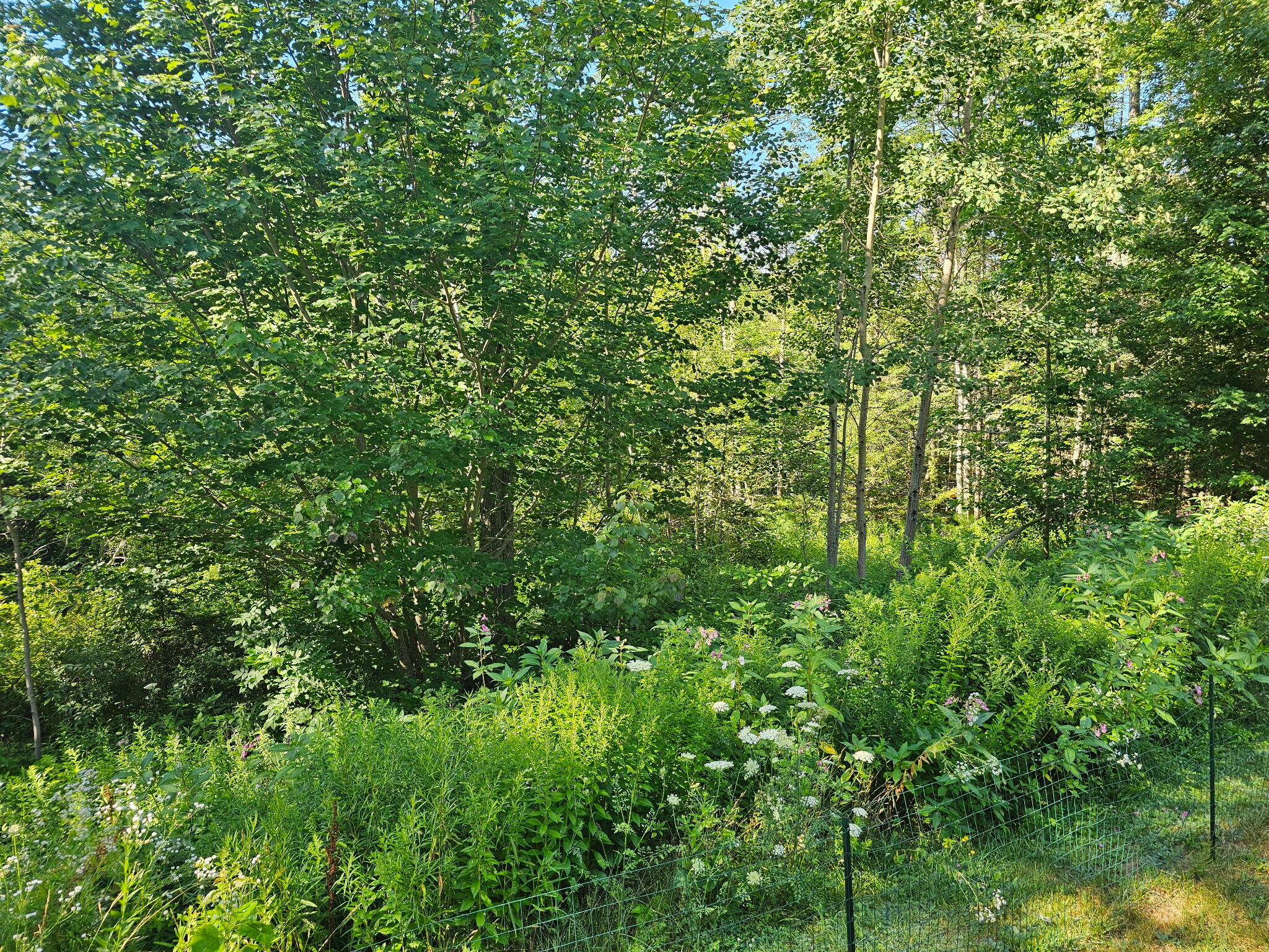 24 Grierson Road Property Photo 3