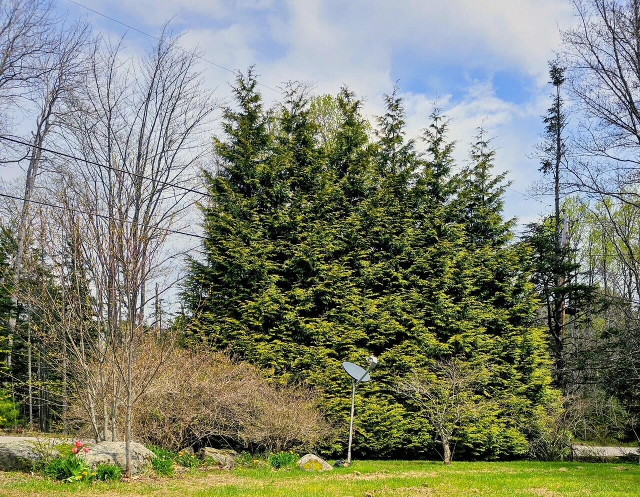 24 Grierson Road Property Photo 6