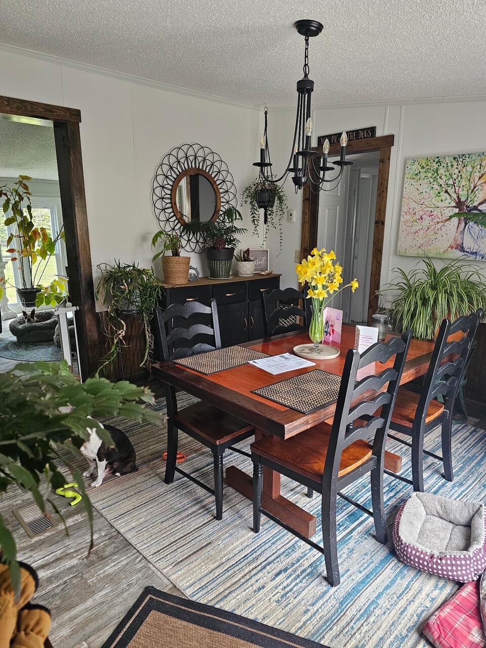 24 Grierson Road Property Photo 11