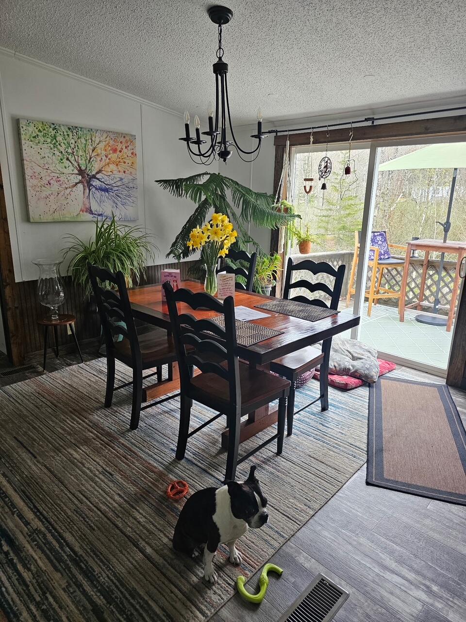 24 Grierson Road Property Photo 12