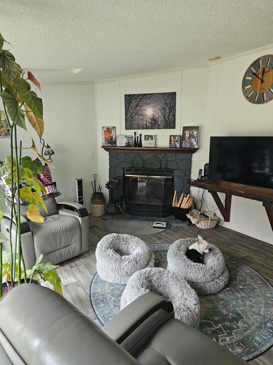 24 Grierson Road Property Photo 16