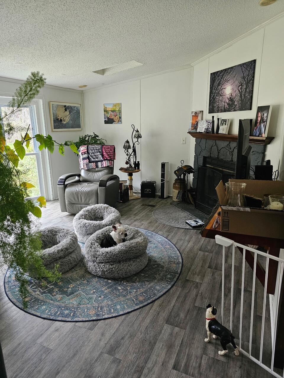 24 Grierson Road Property Photo 22