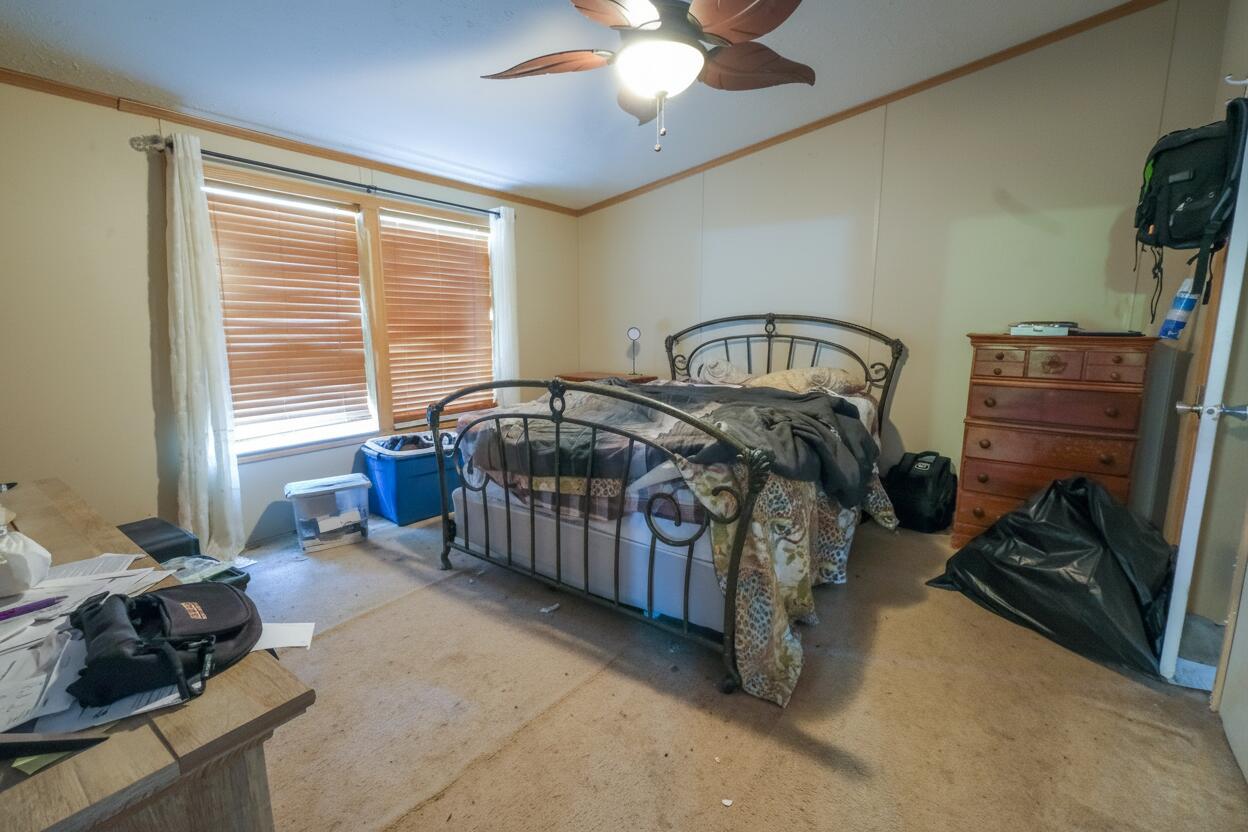 16 Plains Road Property Photo 17