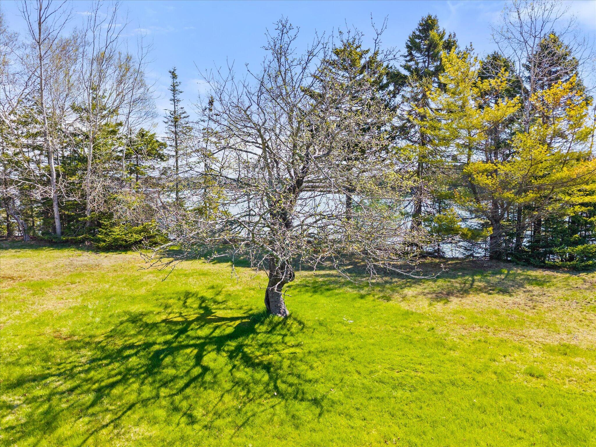 372 Rays Point Road Property Photo 21