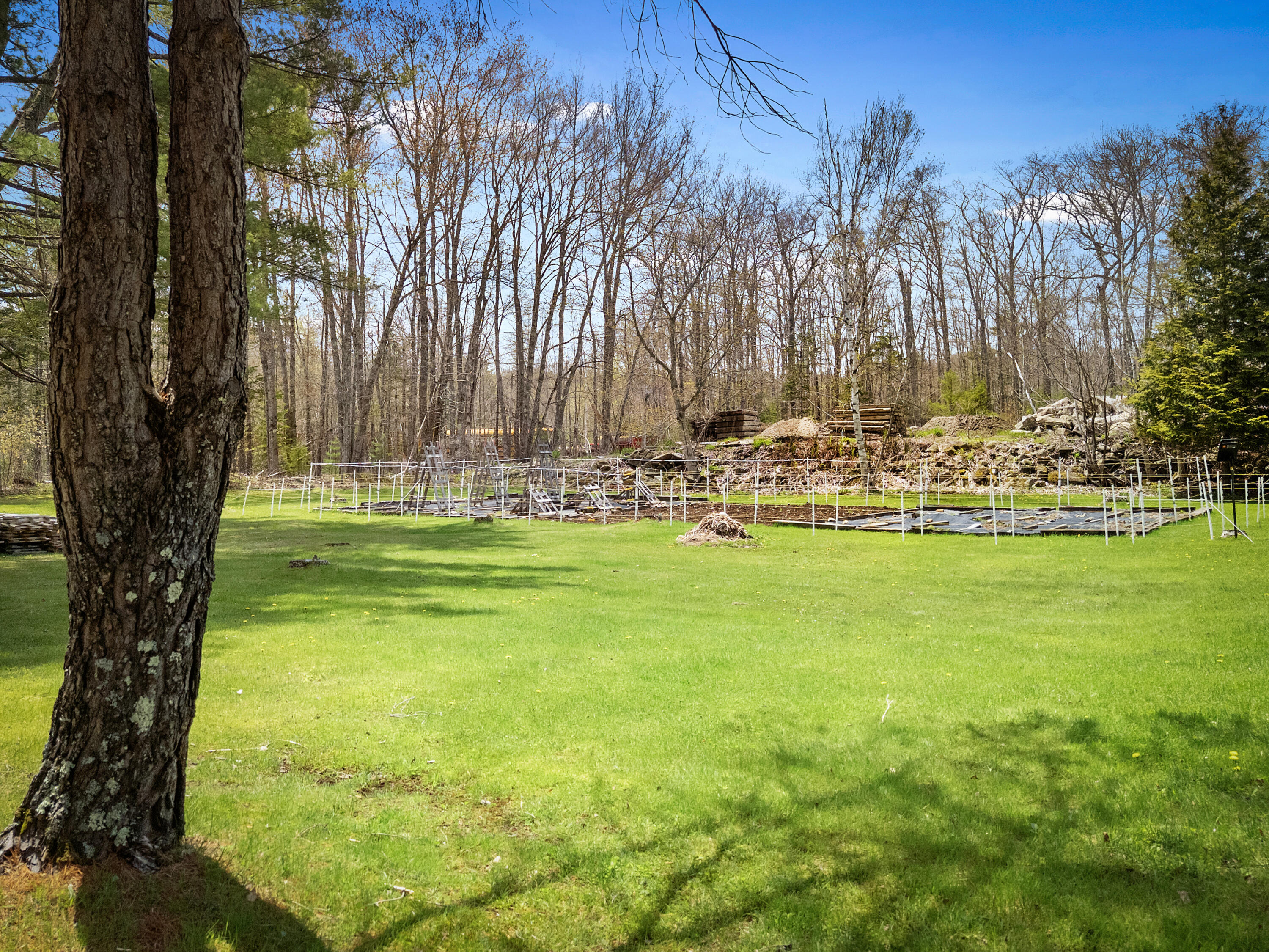 2959 Camden Road Property Photo 26