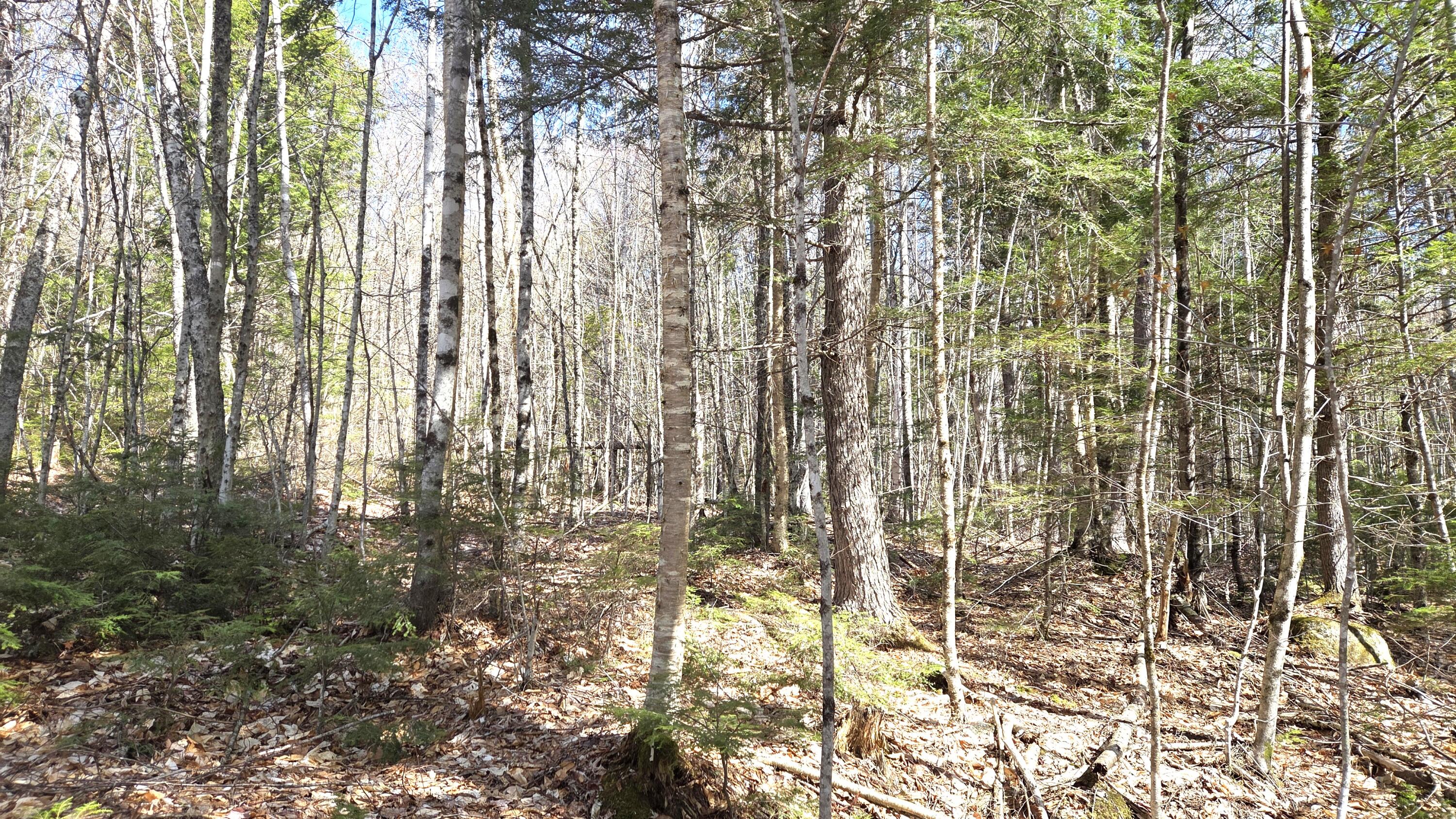 357 Old Tower Road Property Photo 9