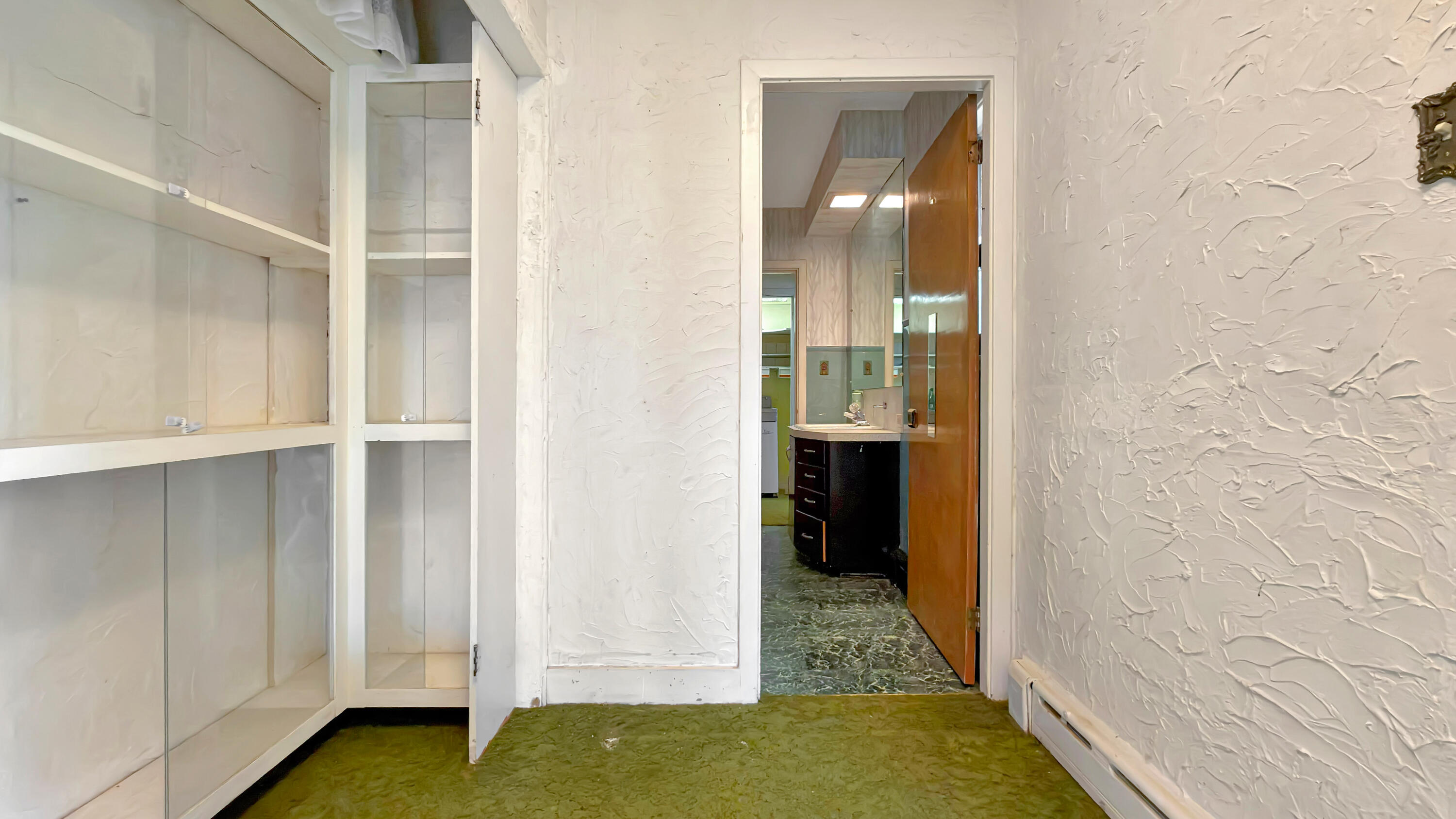 19 Macarthur Avenue Property Photo 25