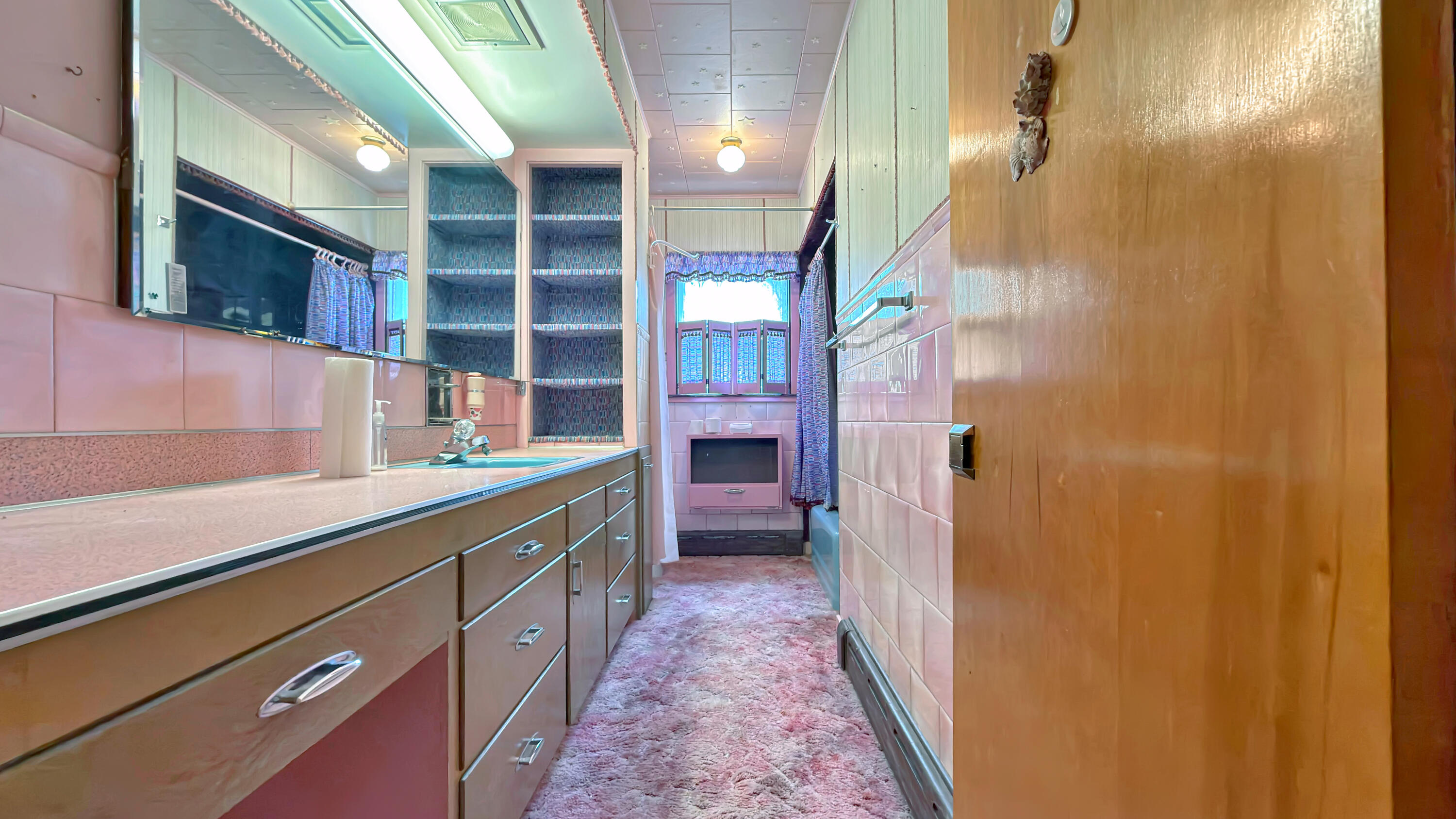 19 Macarthur Avenue Property Photo 39