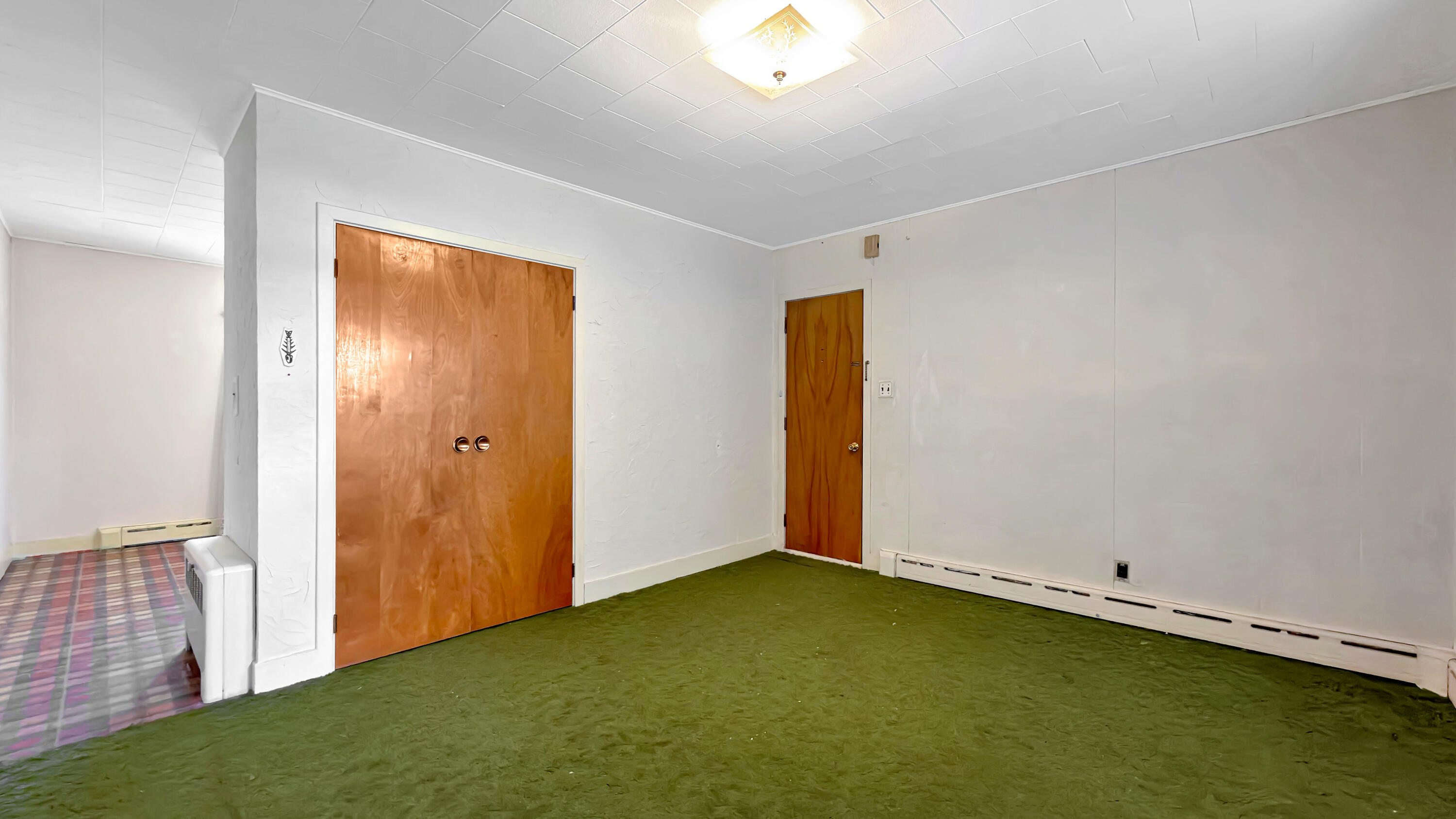 19 Macarthur Avenue Property Photo 43