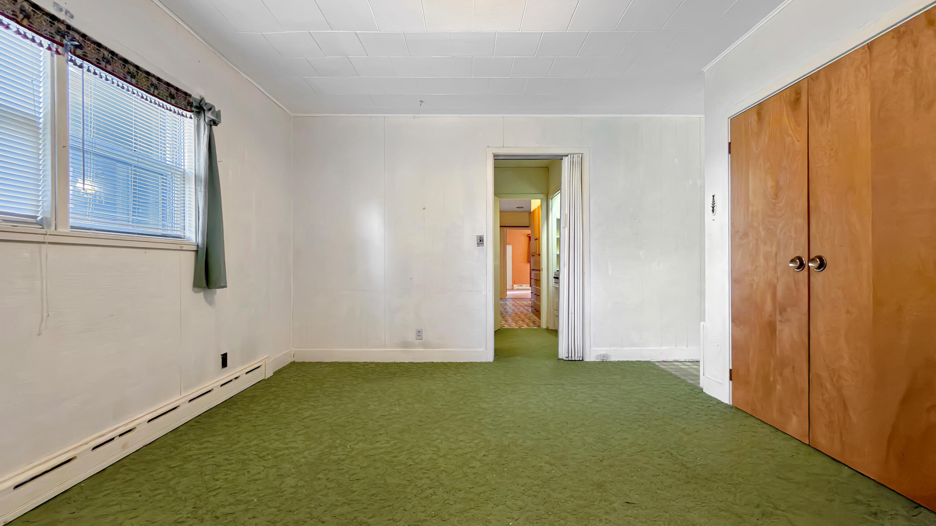 19 Macarthur Avenue Property Photo 44